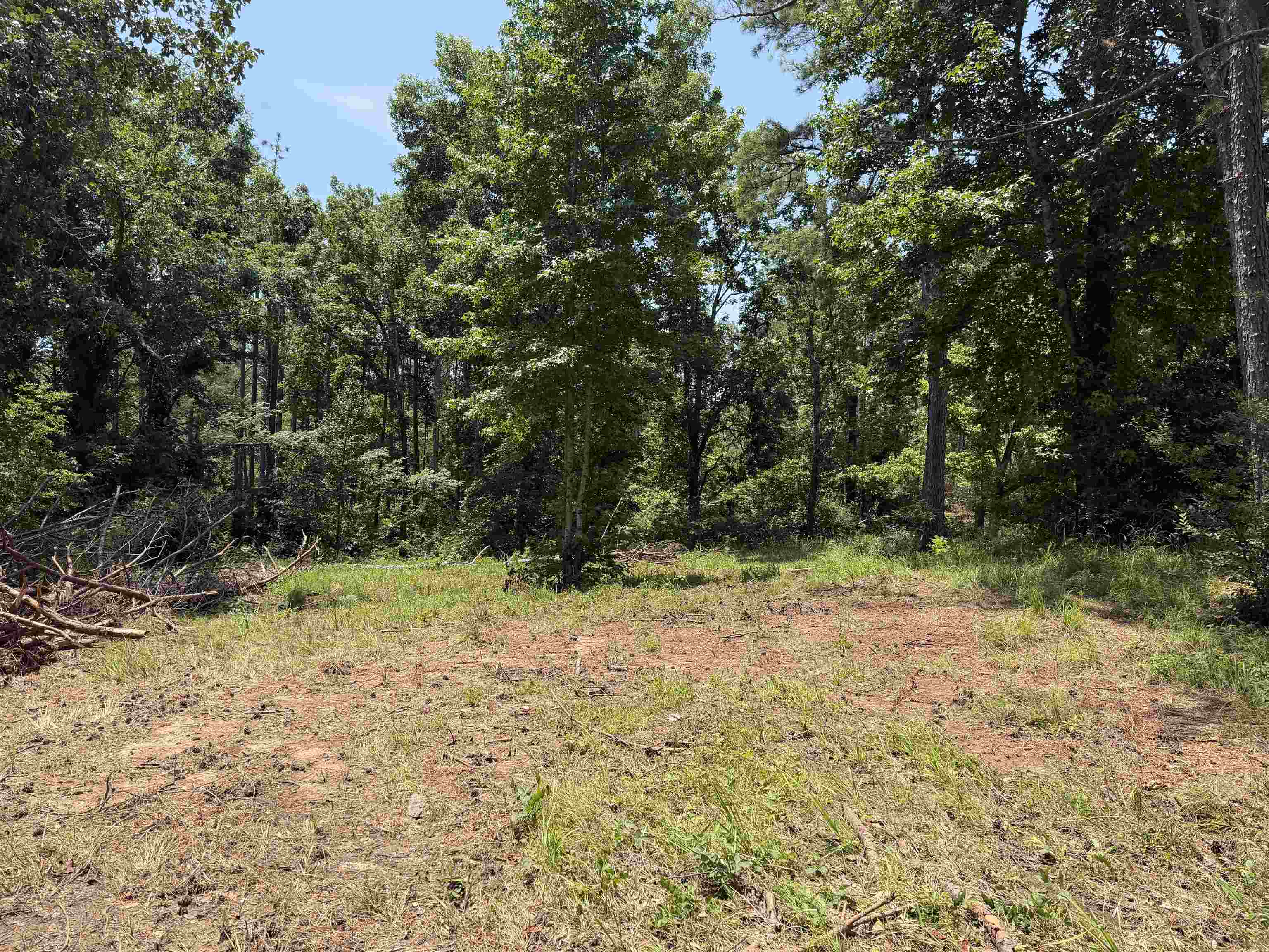 0 Highway 57 Hwy Property Photo 4