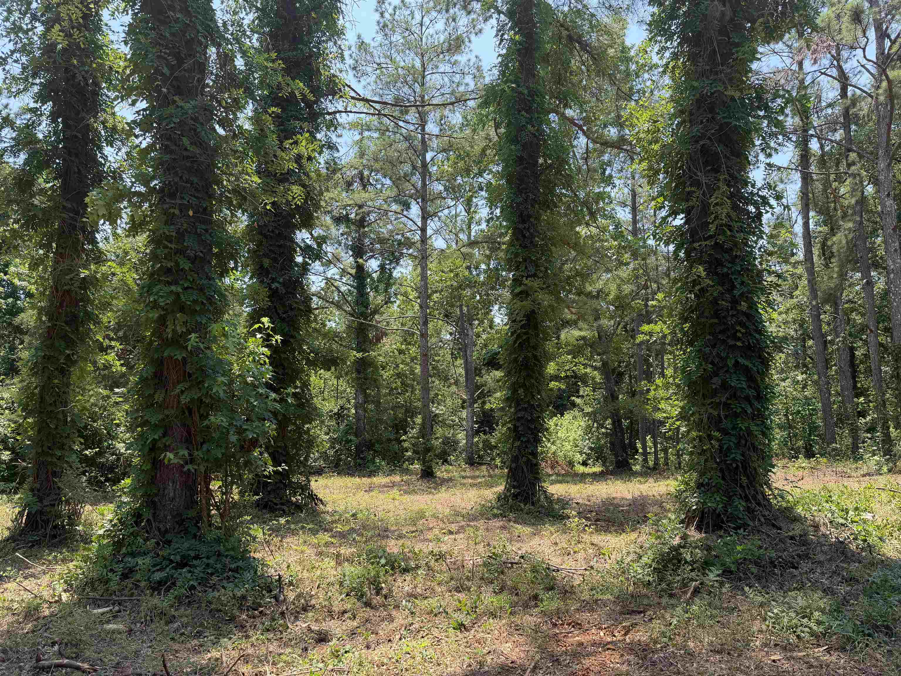 0 Highway 57 Hwy Property Photo 5