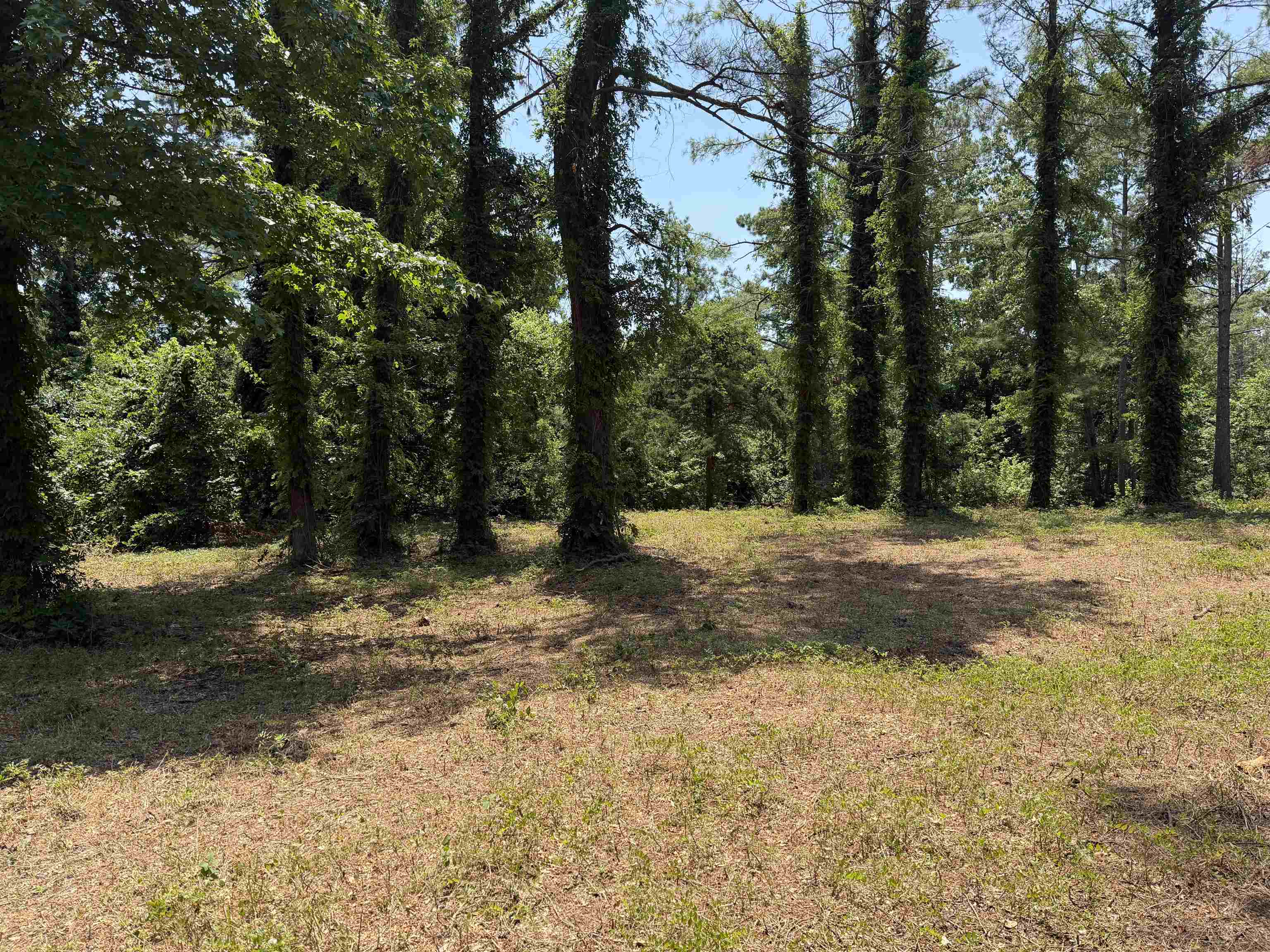 0 Highway 57 Hwy Property Photo 12