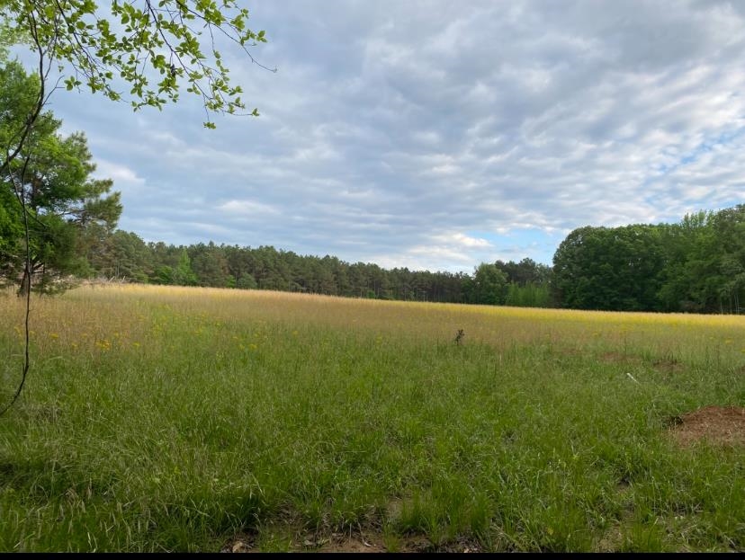 330 Lick Creek Rd Property Photo 2