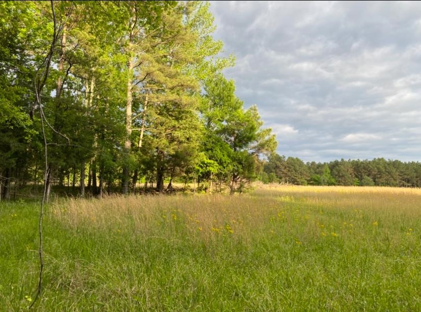 330 Lick Creek Rd Property Photo 3