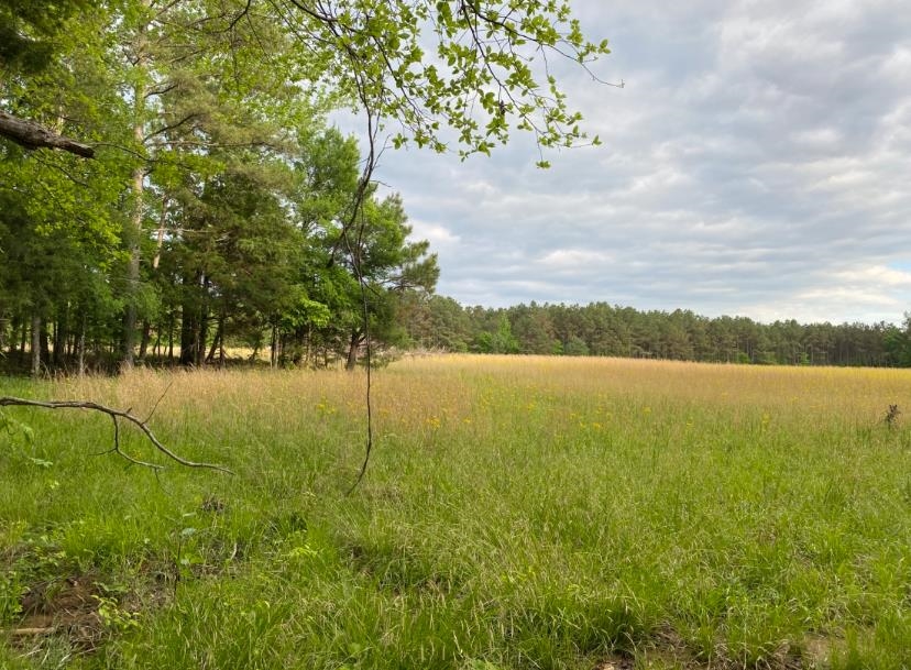 330 Lick Creek Rd Property Photo 4