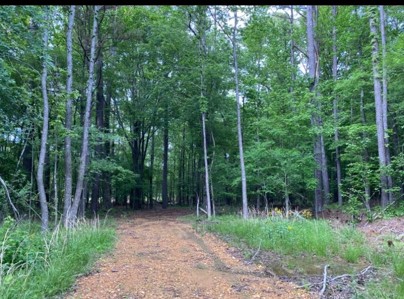 330 Lick Creek Rd Property Photo 6
