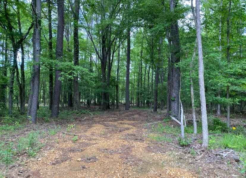 330 Lick Creek Rd Property Photo 7