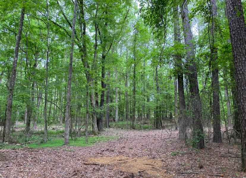 330 Lick Creek Rd Property Photo 8