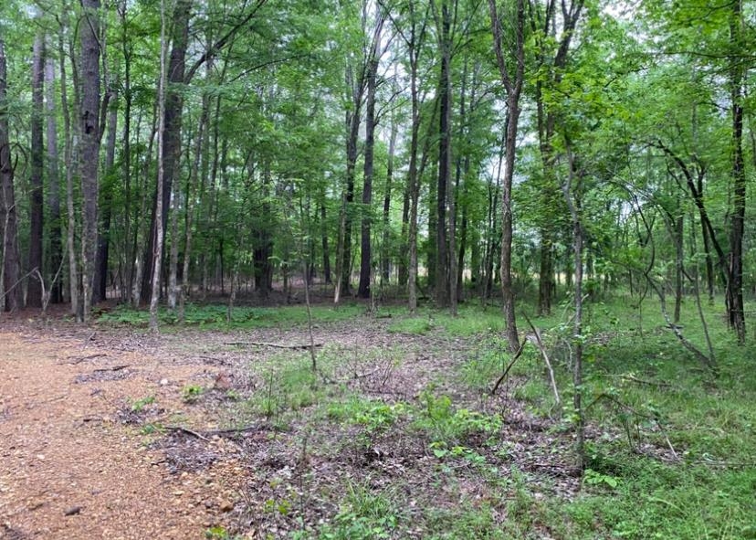 330 Lick Creek Rd Property Photo 9