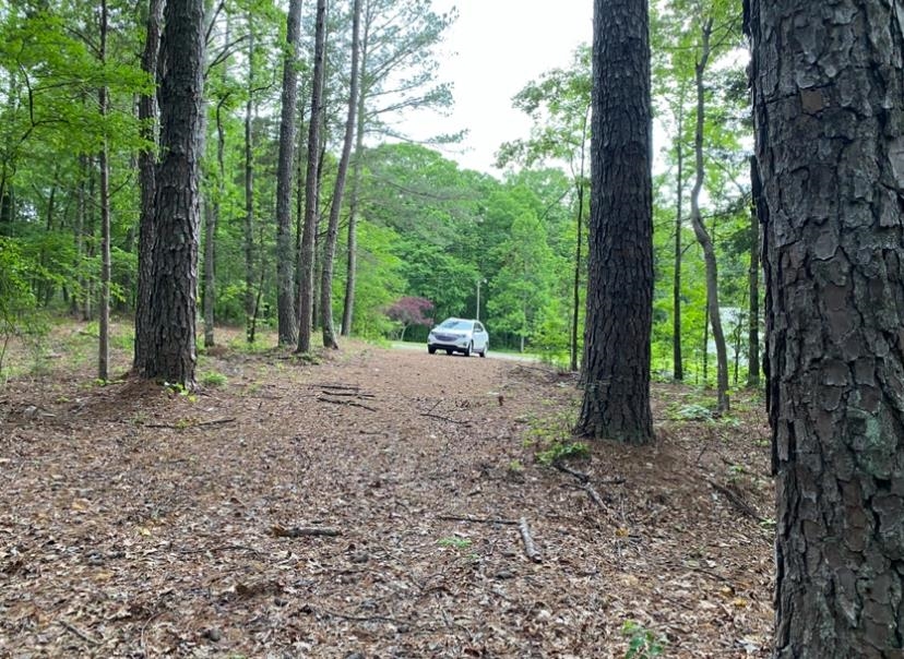 330 Lick Creek Rd Property Photo 10