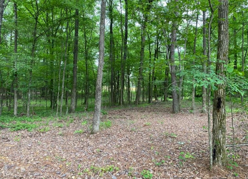 330 Lick Creek Rd Property Photo 11