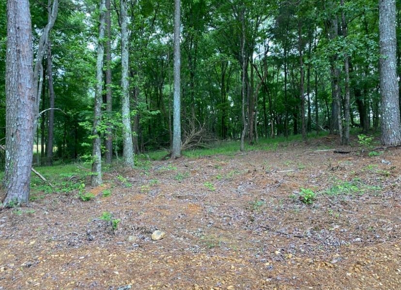 330 Lick Creek Rd Property Photo 12