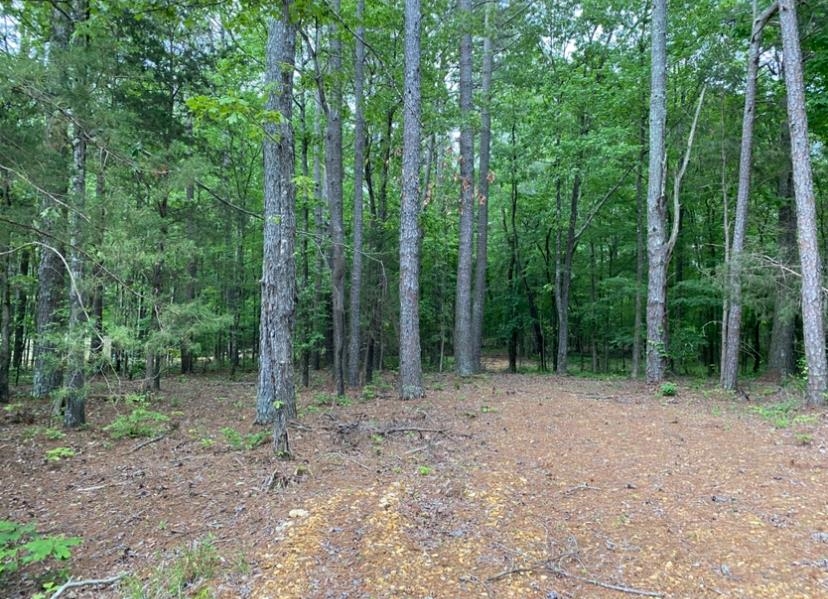 330 Lick Creek Rd Property Photo 13