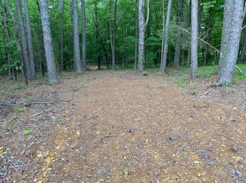 330 Lick Creek Rd Property Photo 15
