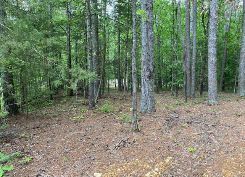 330 Lick Creek Rd Property Photo 16