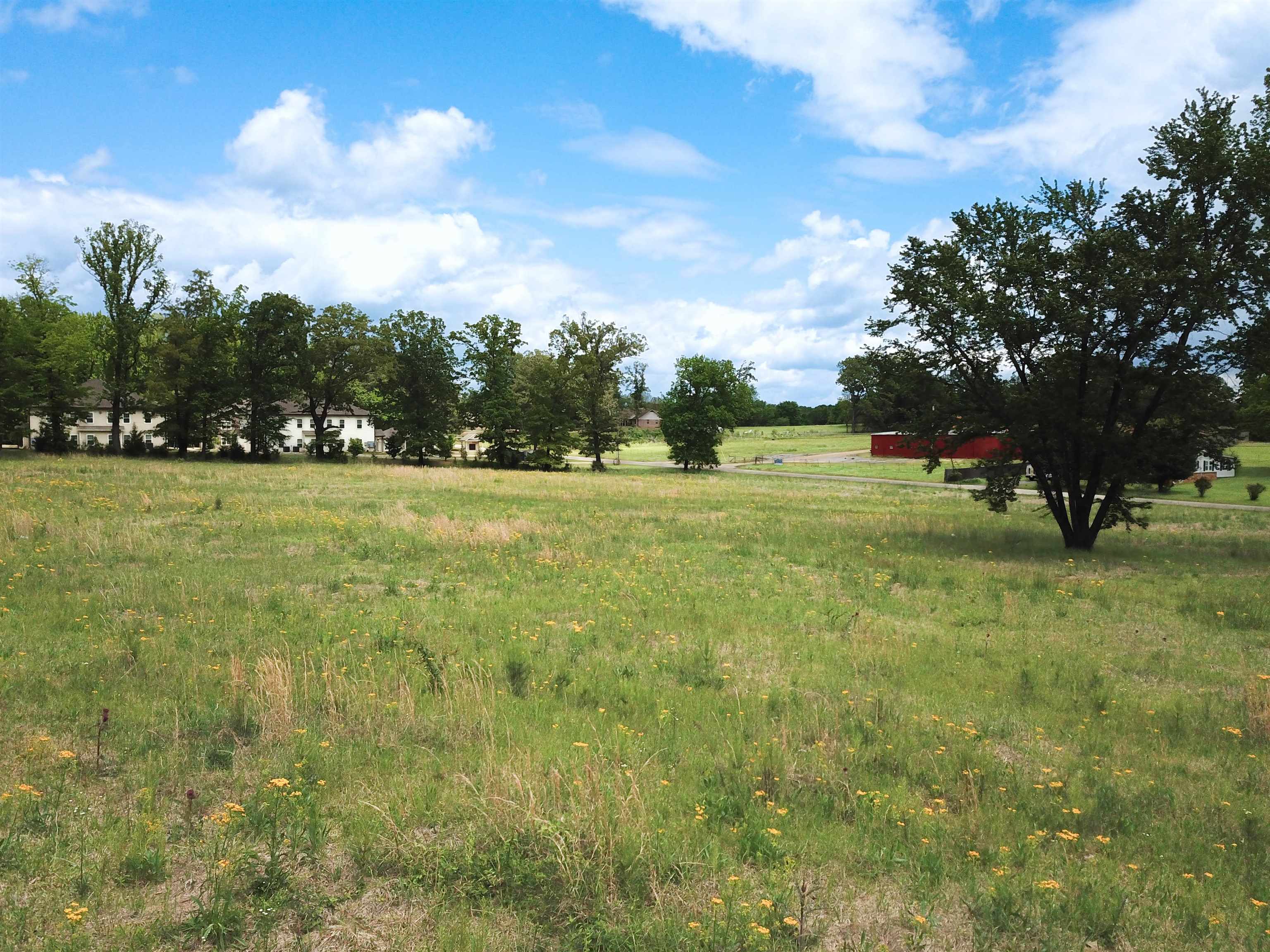 Bradley Rd Property Photo 4