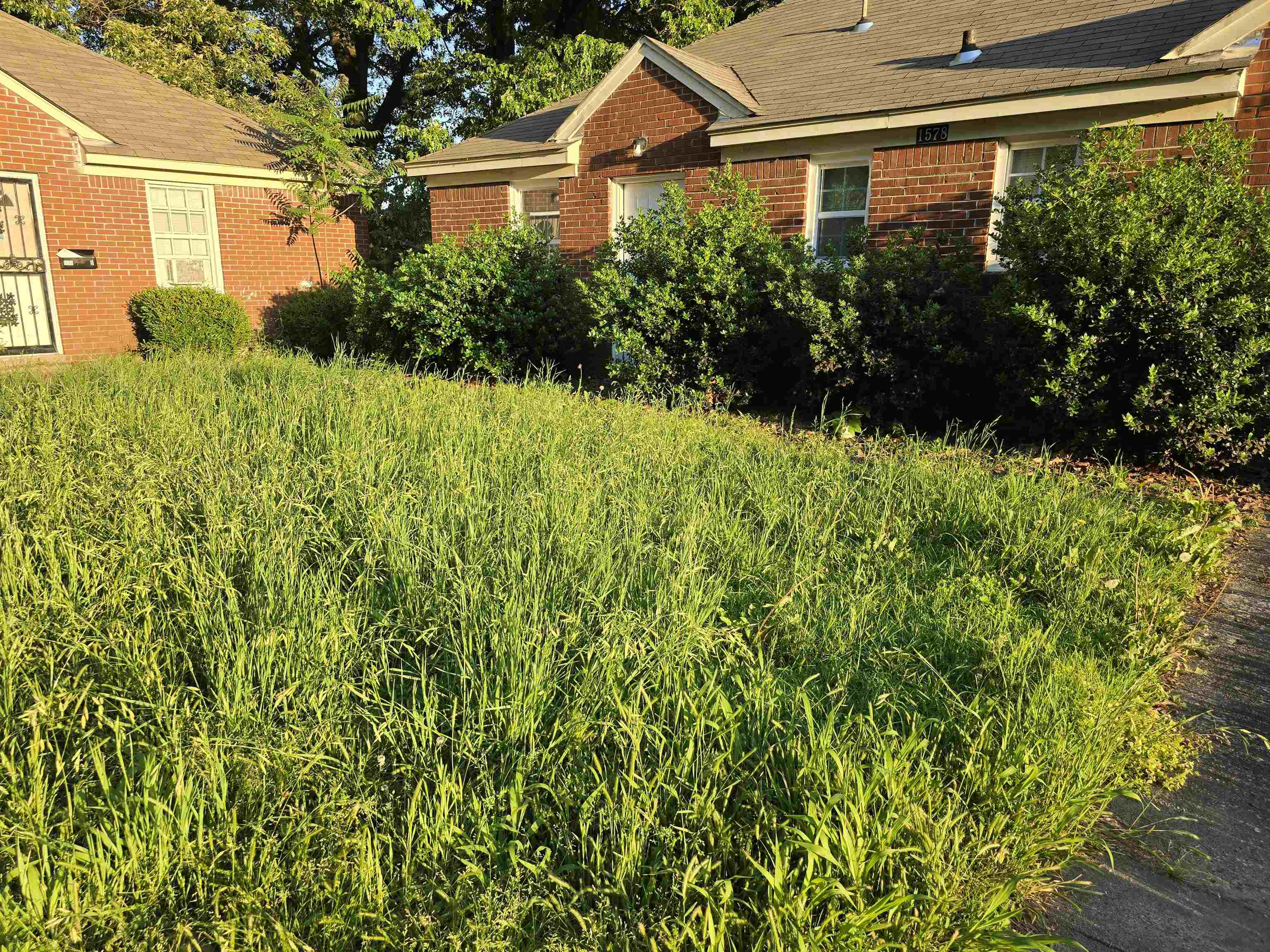 1572 Hanauer St Property Photo 22