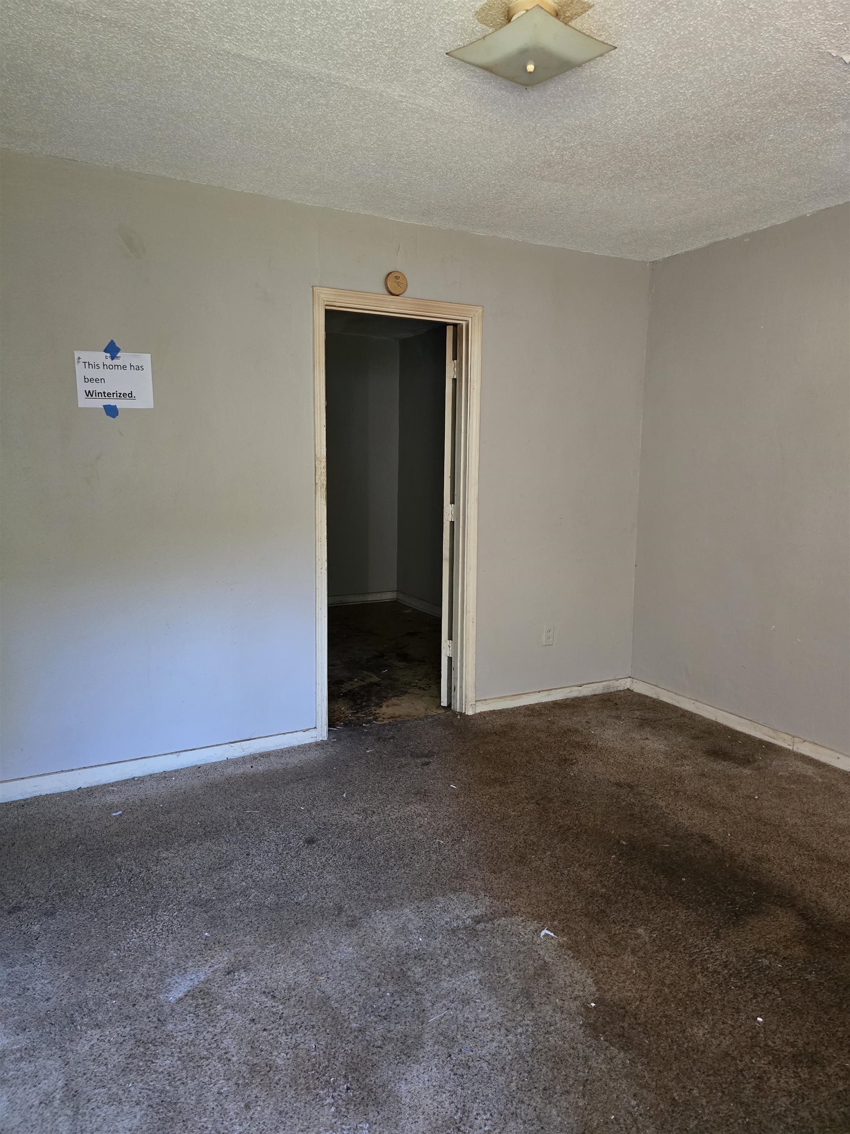 1572 Hanauer St Property Photo 24