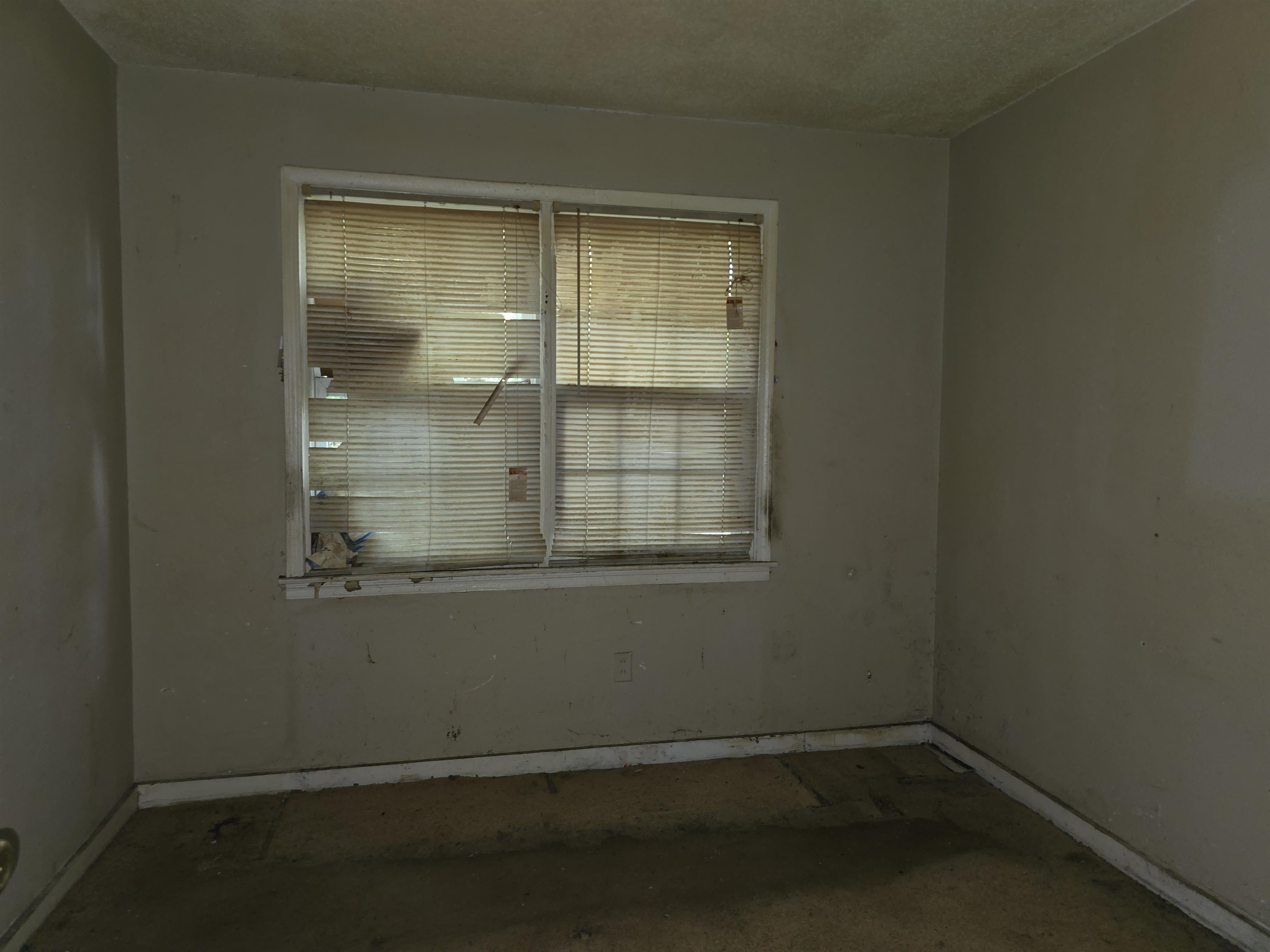 1572 Hanauer St Property Photo 28