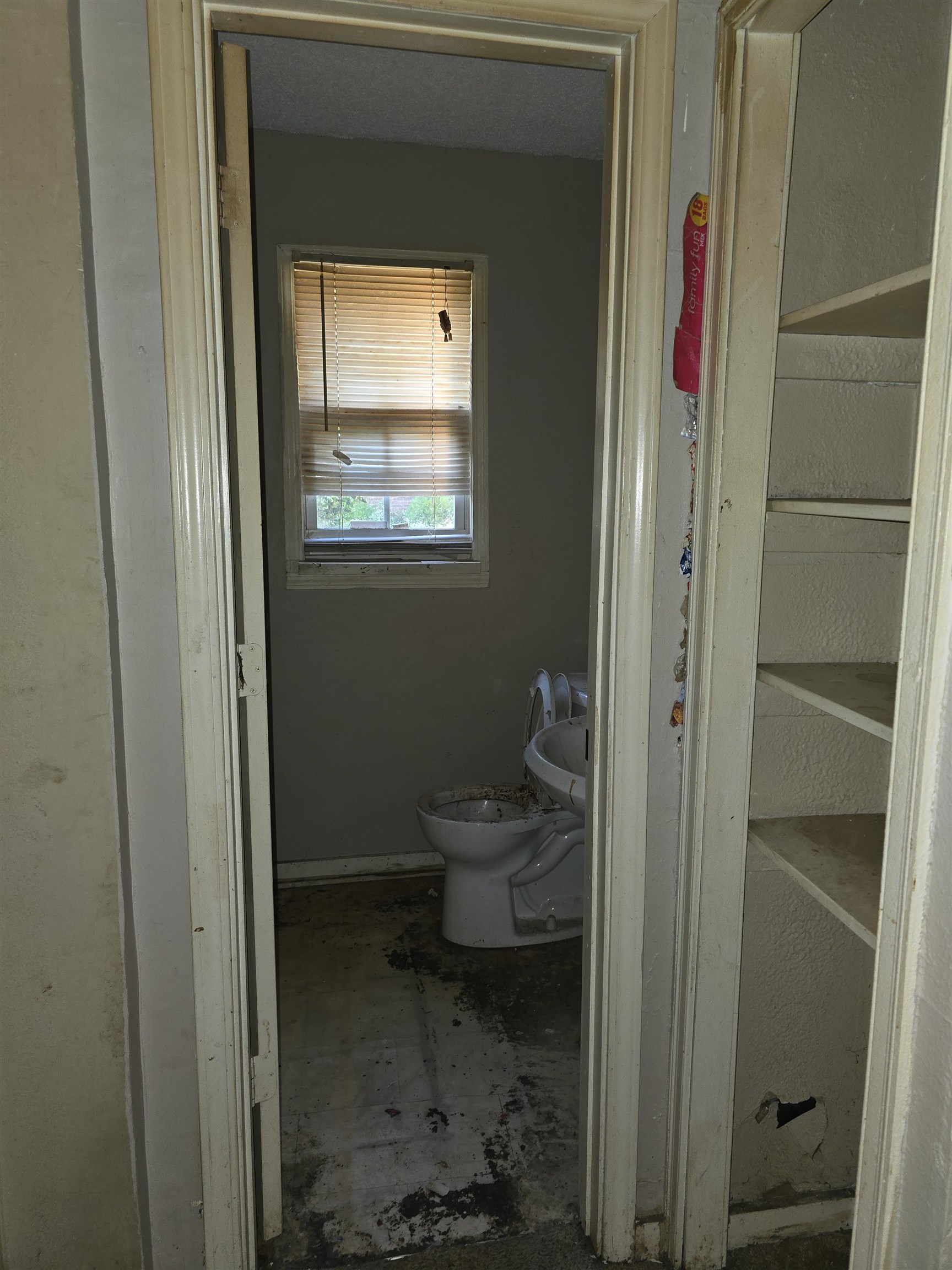 1572 Hanauer St Property Photo 29