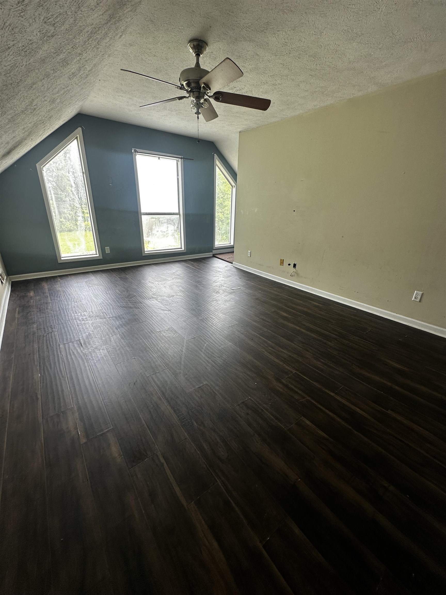 134 Horse Creek Rd Property Photo 12