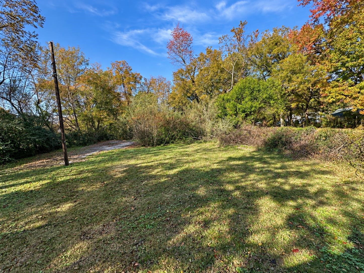 3075 Debby St Property Photo 12