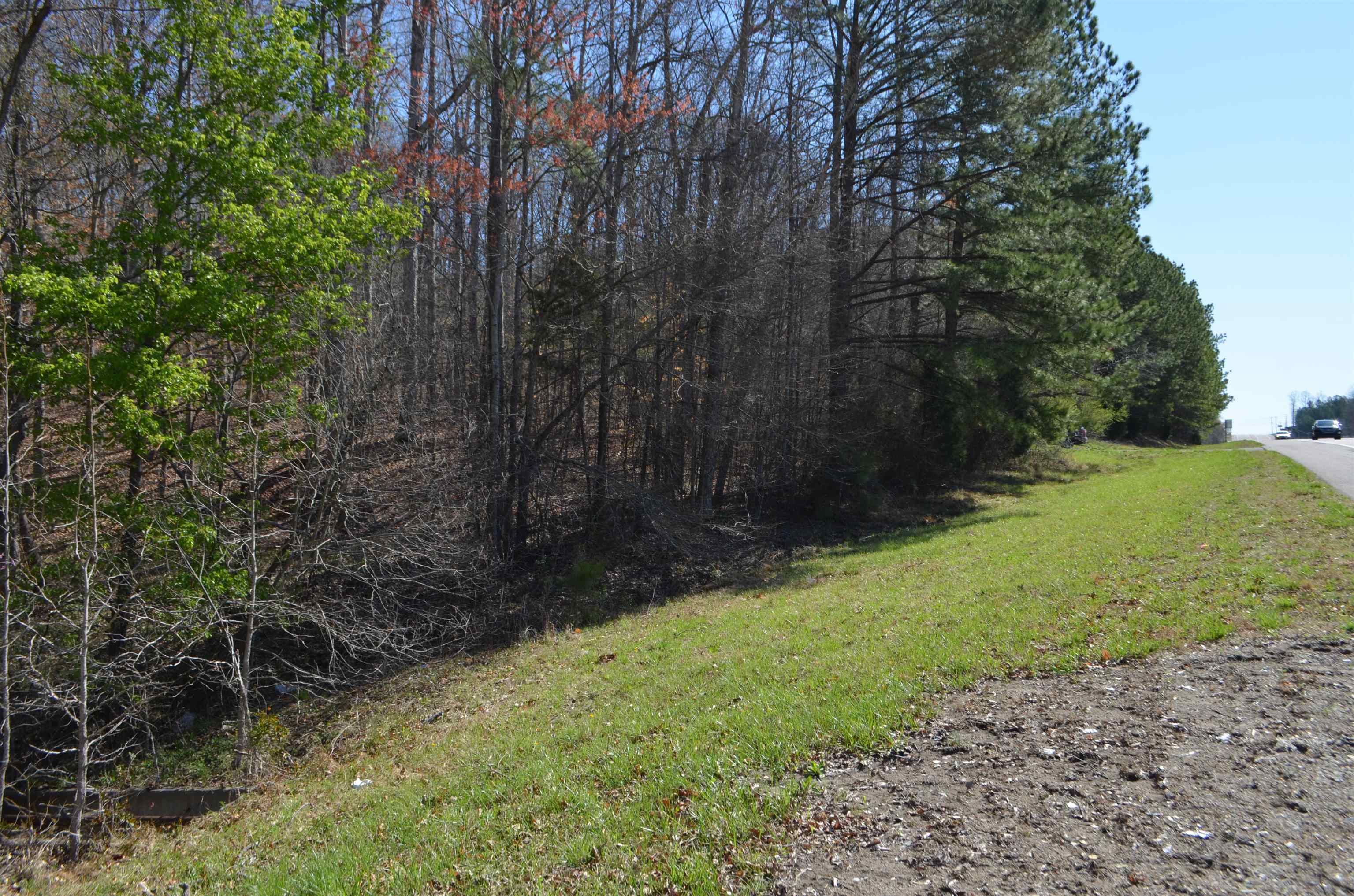 0 412 Hwy E Property Photo 4