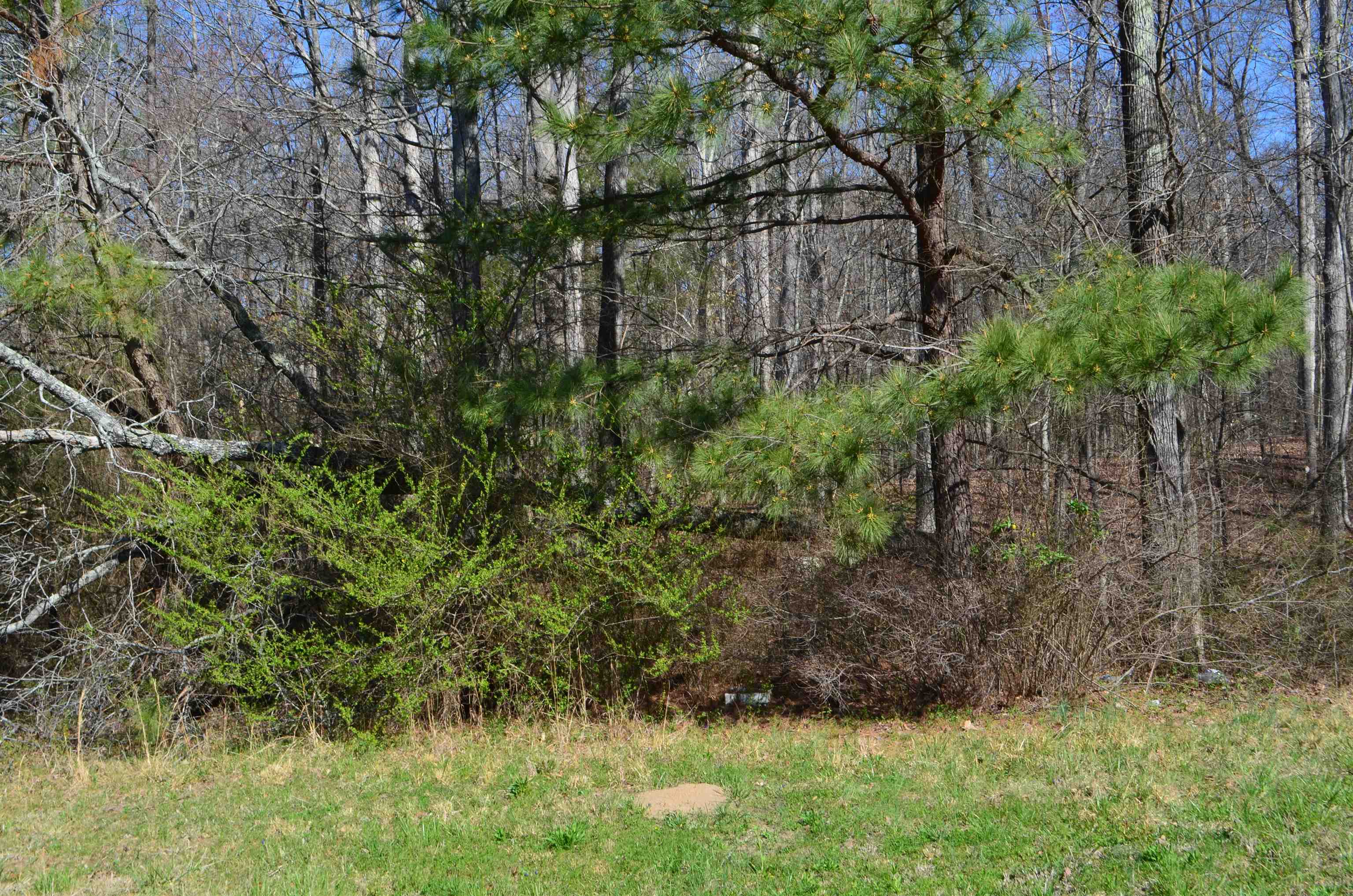 0 412 Hwy E Property Photo 5