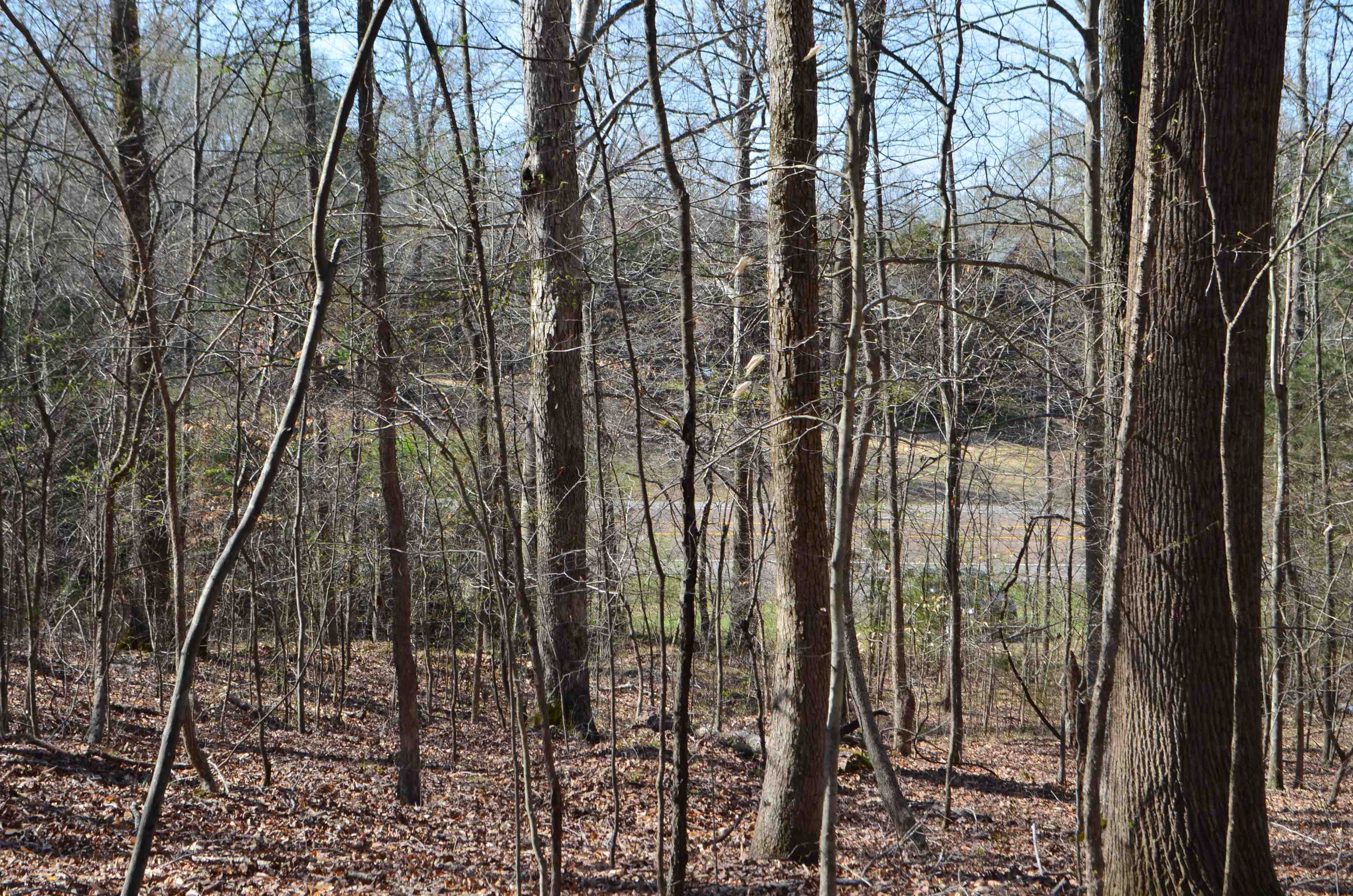 0 412 Hwy E Property Photo 17