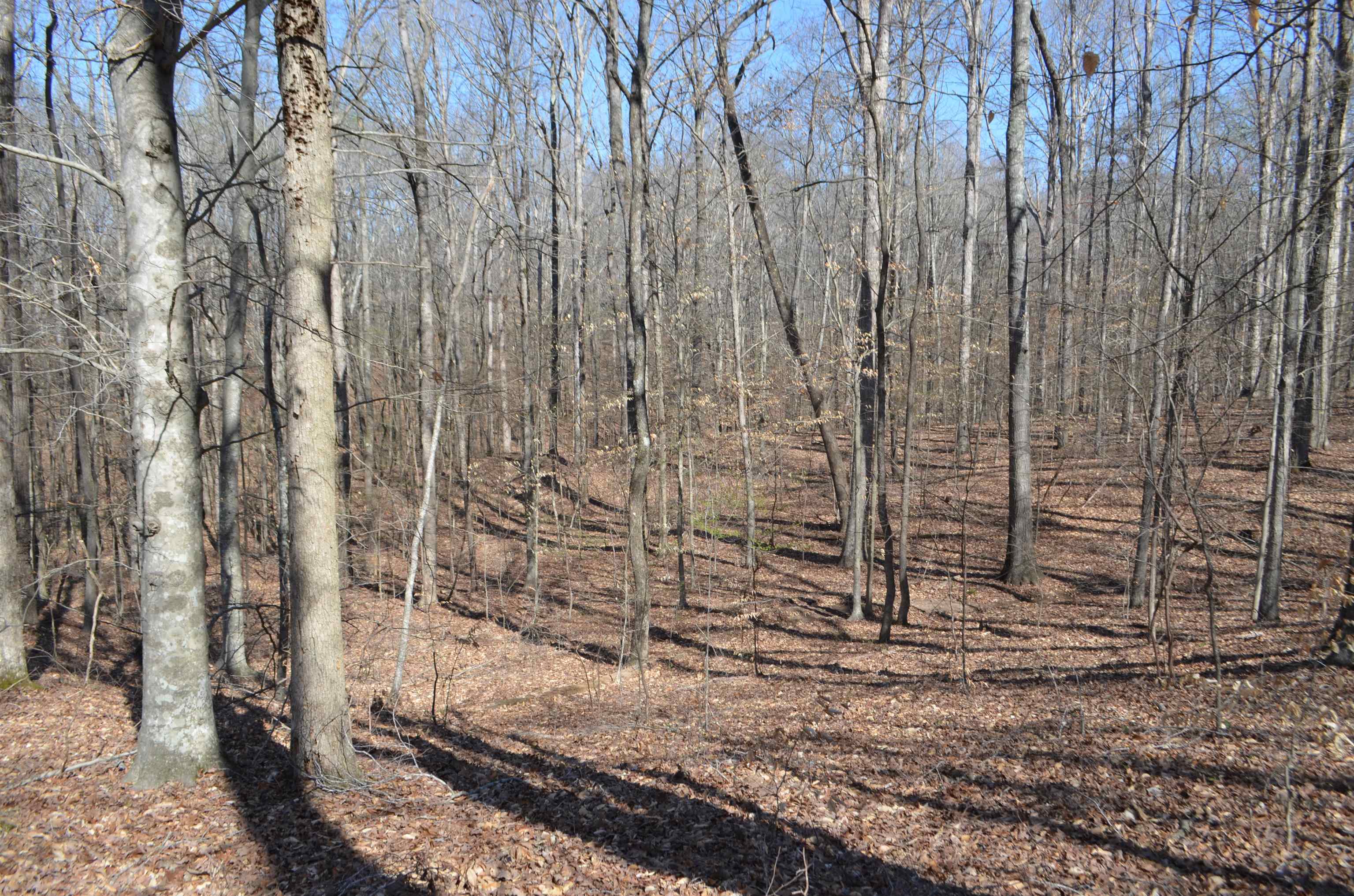 0 412 Hwy E Property Photo 18