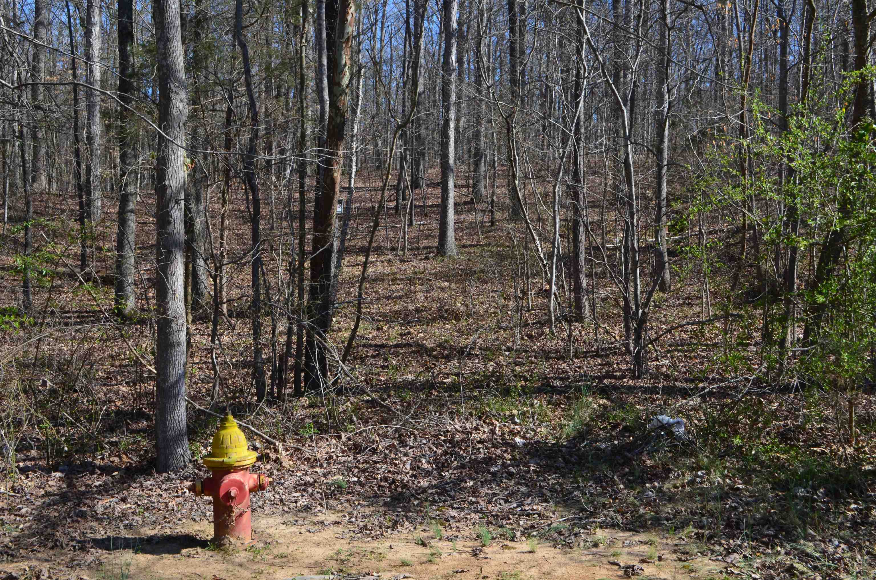 0 412 Hwy E Property Photo 24
