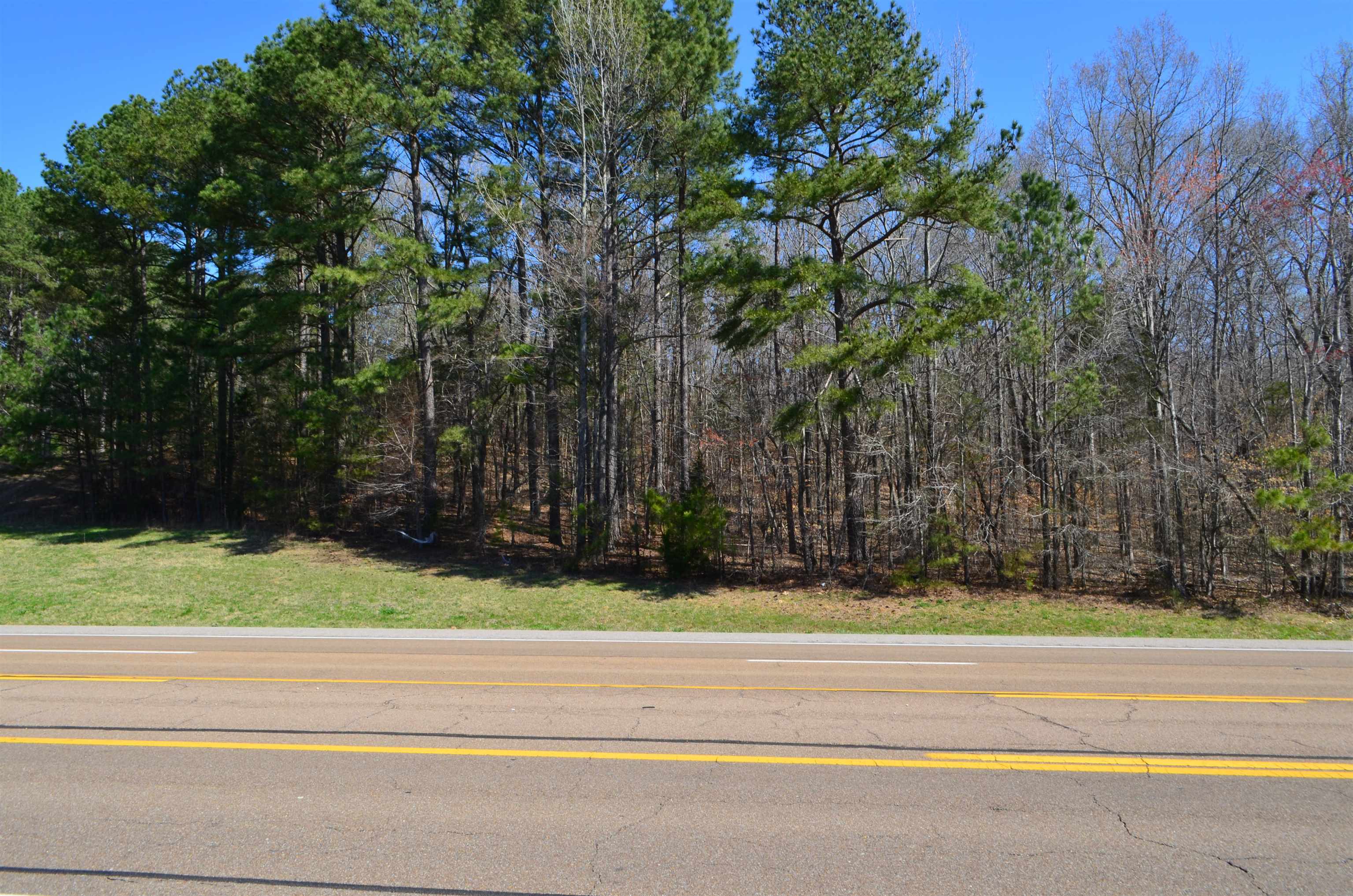 0 412 Hwy E Property Photo 26