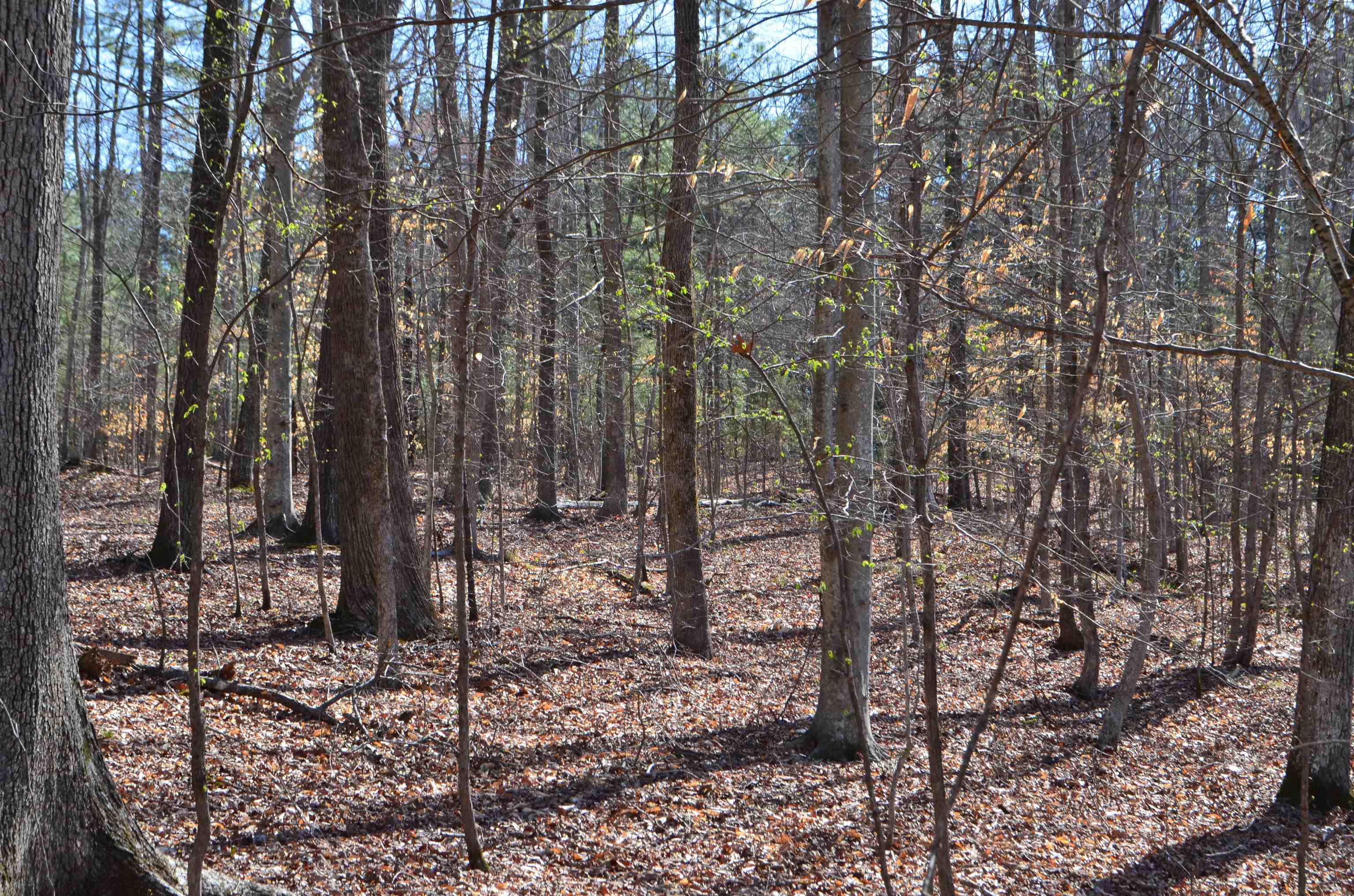 0 412 Hwy E Property Photo 28