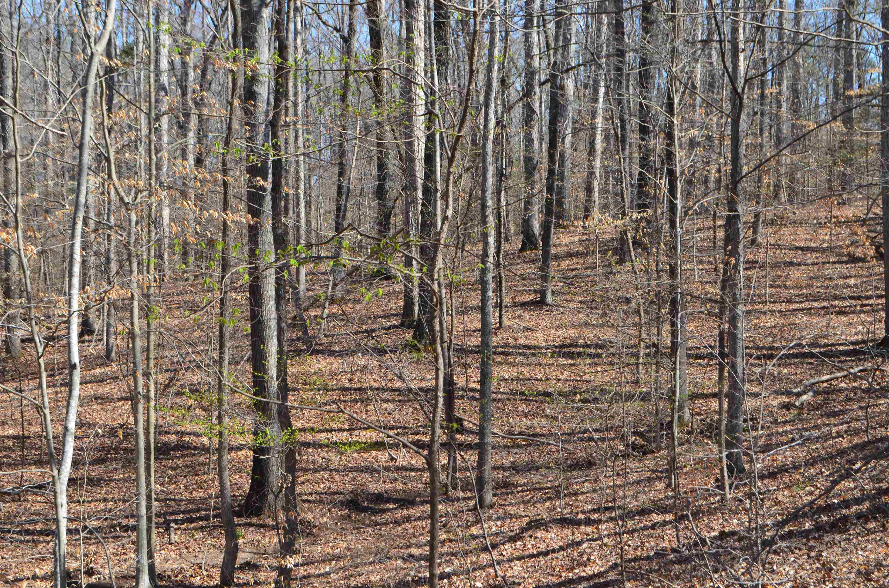 0 412 Hwy E Property Photo 30