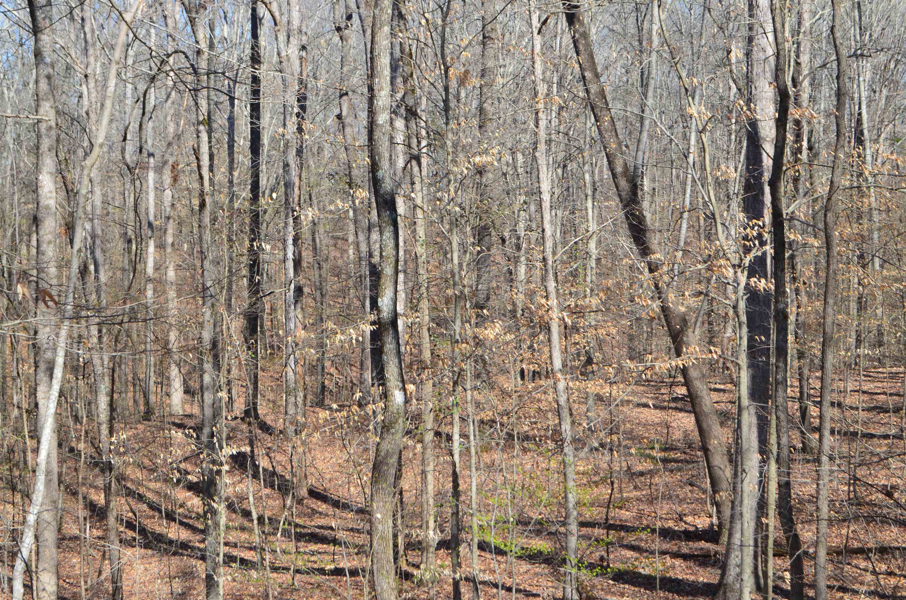 0 412 Hwy E Property Photo 33