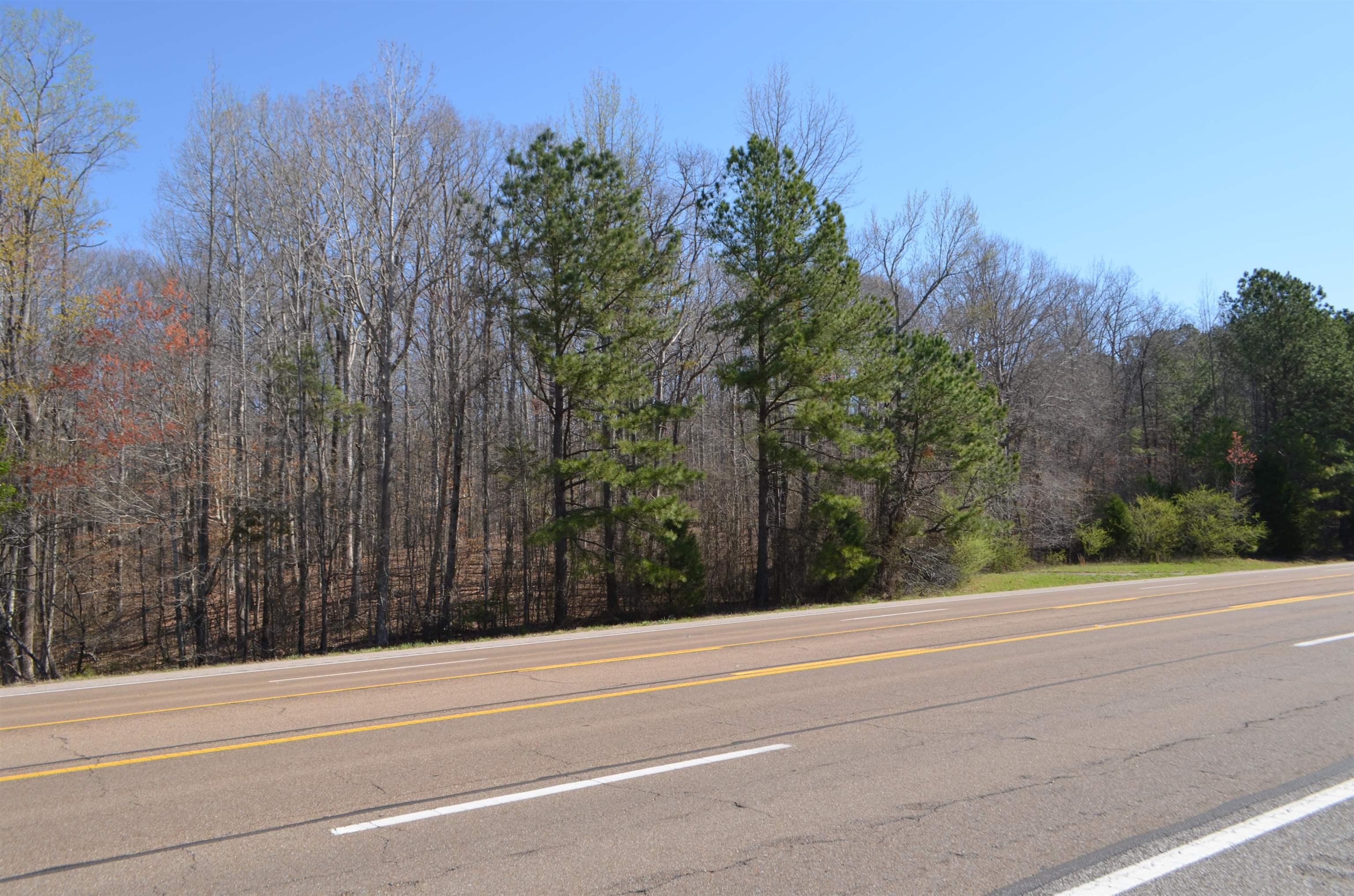 0 412 Hwy E Property Photo 38
