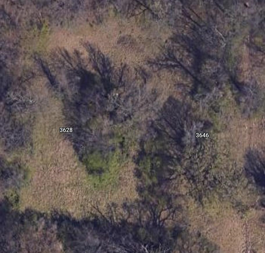 3628 DEMOCRAT RD Property Photo 1