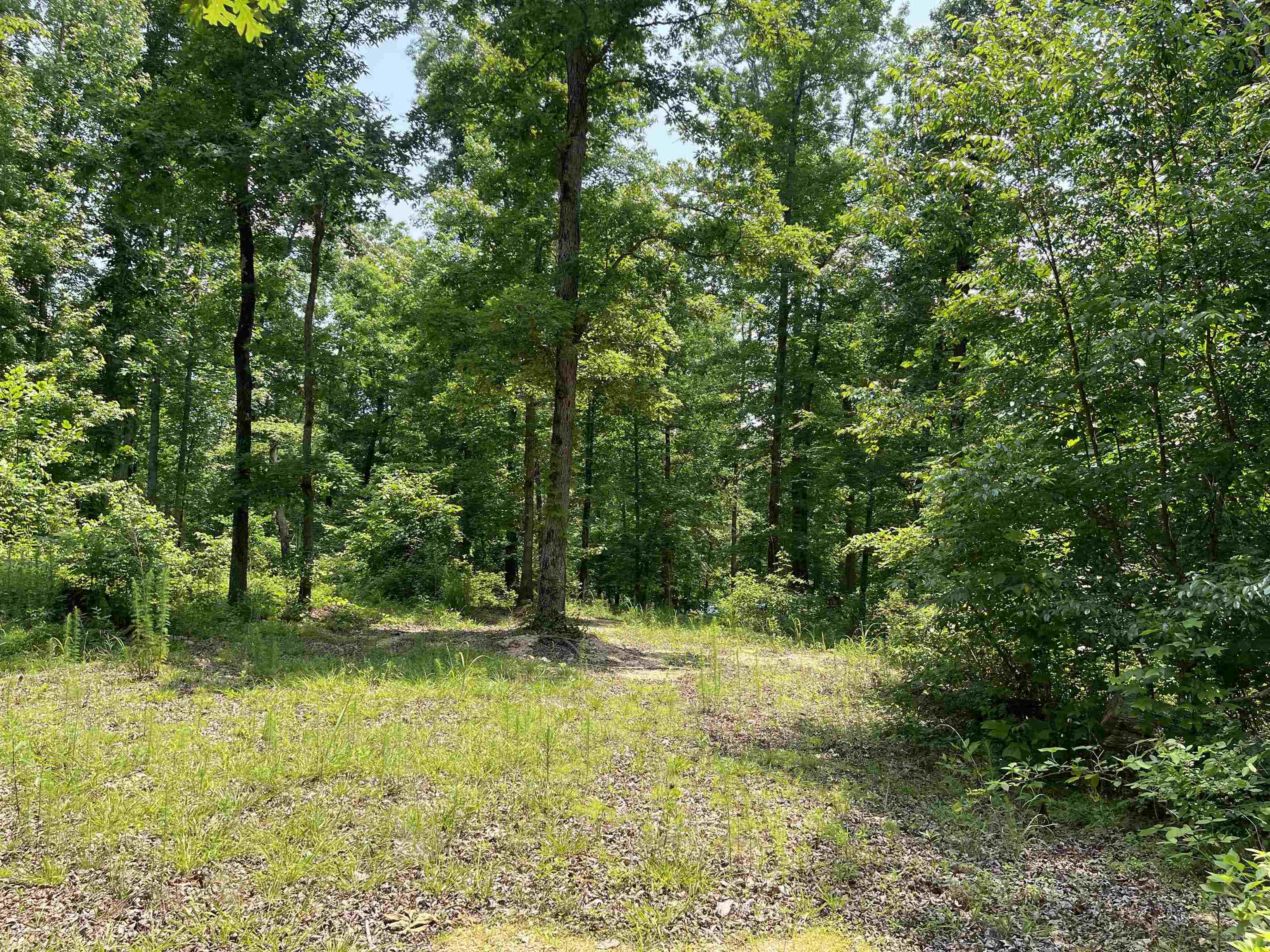 2460 421 Hwy Property Photo 3