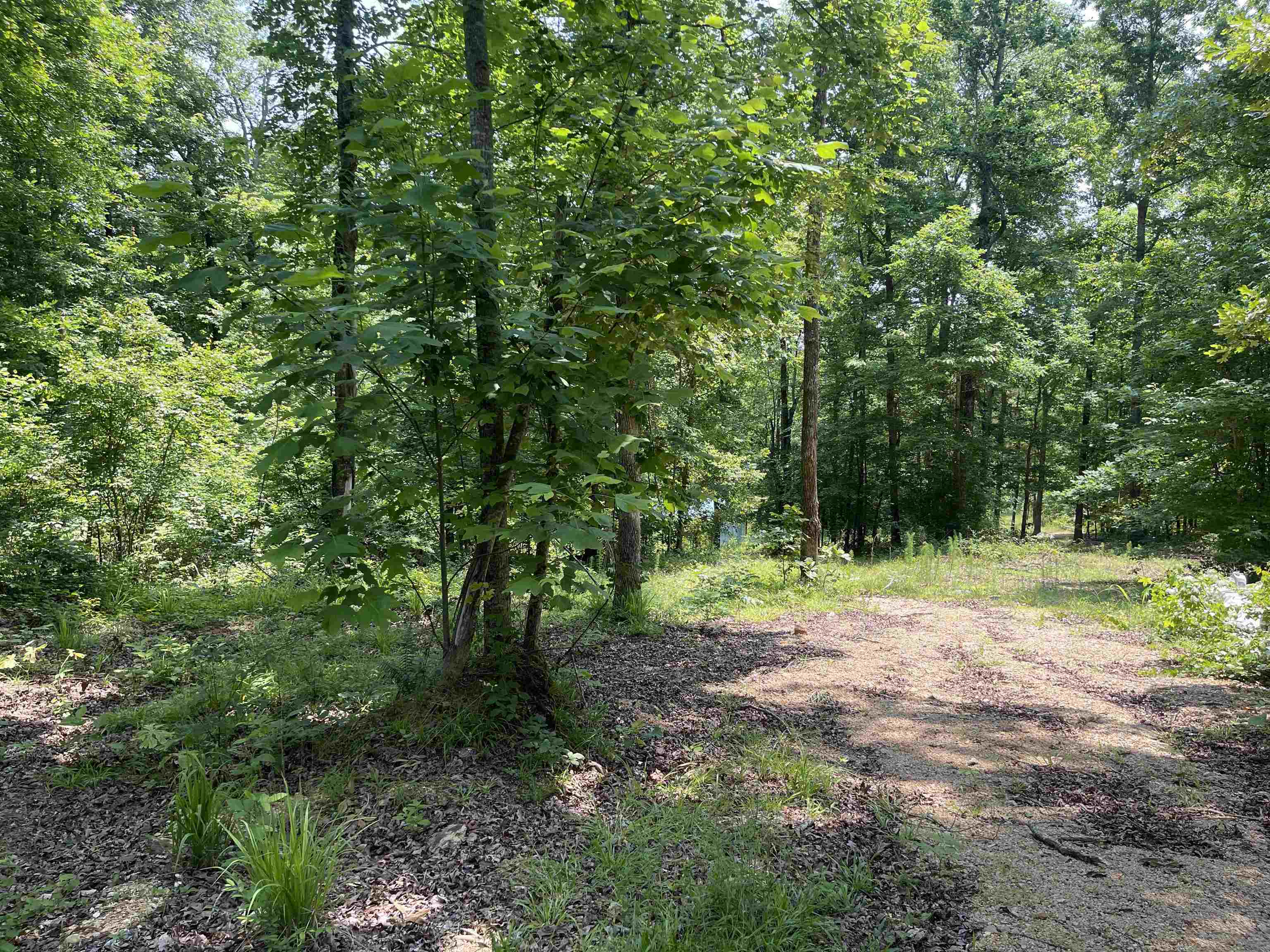 2460 421 Hwy Property Photo 5