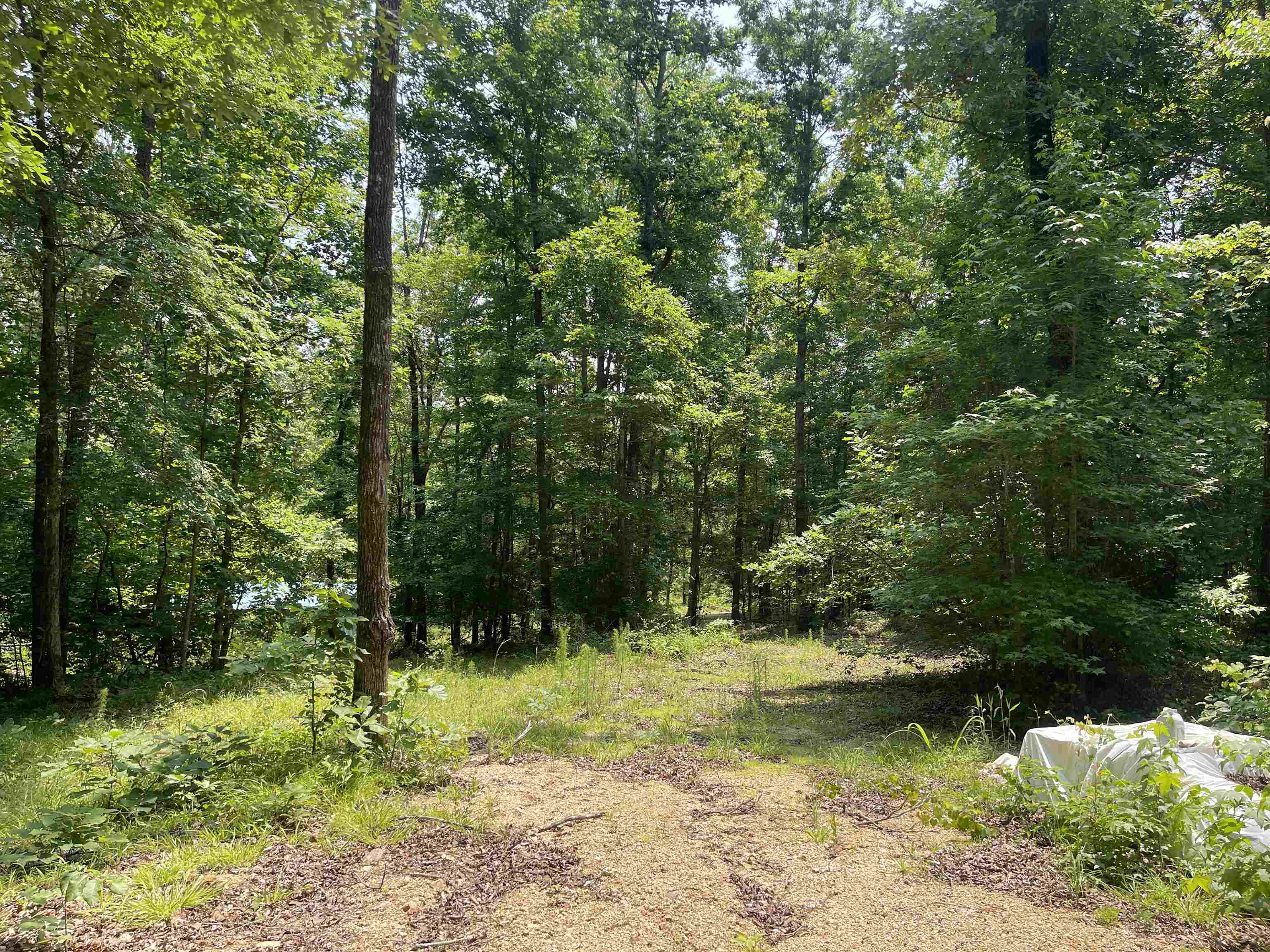 2460 421 Hwy Property Photo 6
