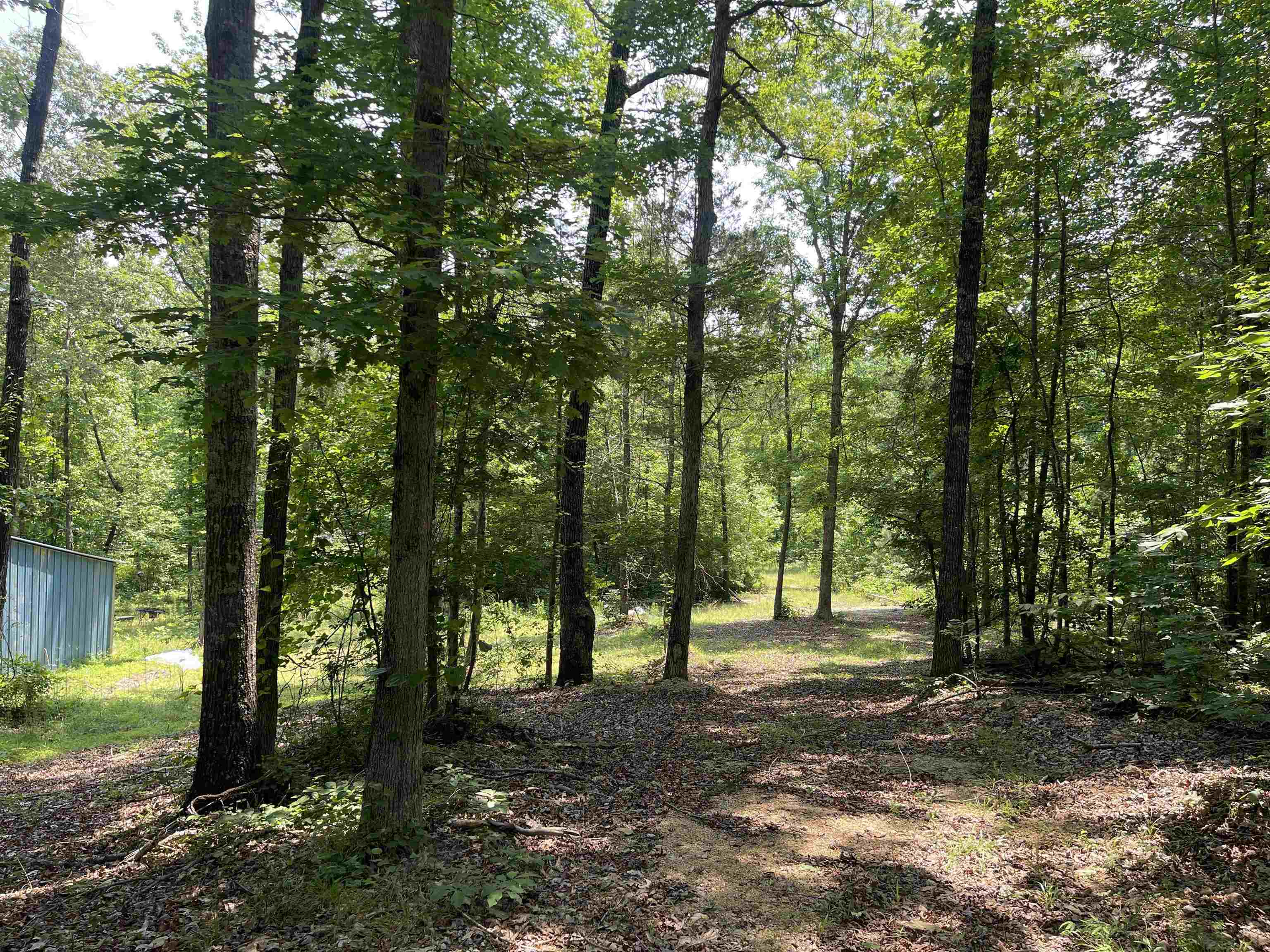 2460 421 Hwy Property Photo 7