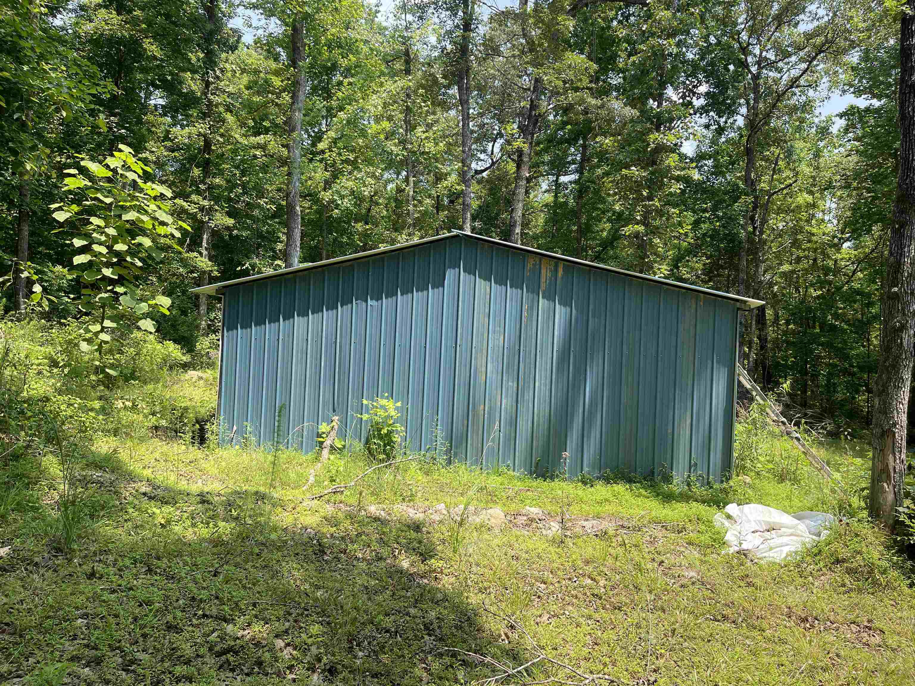 2460 421 Hwy Property Photo 8