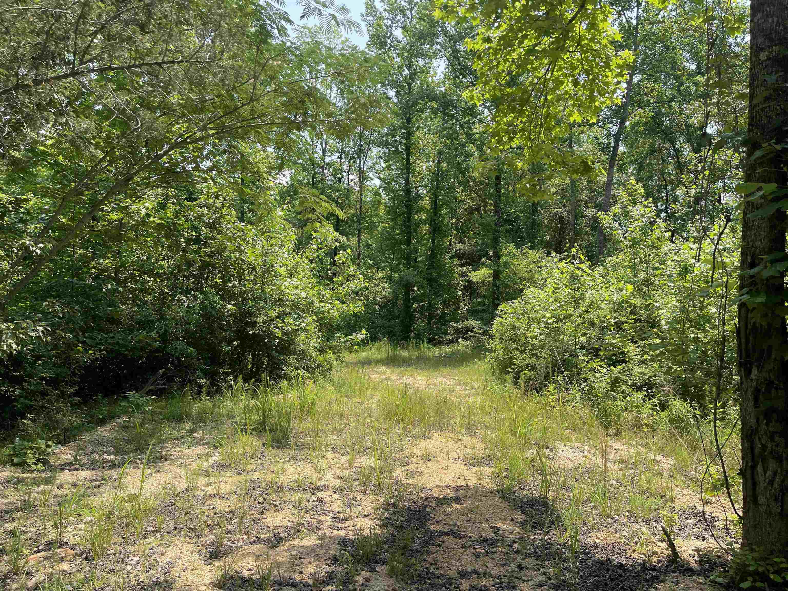 2460 421 Hwy Property Photo 9