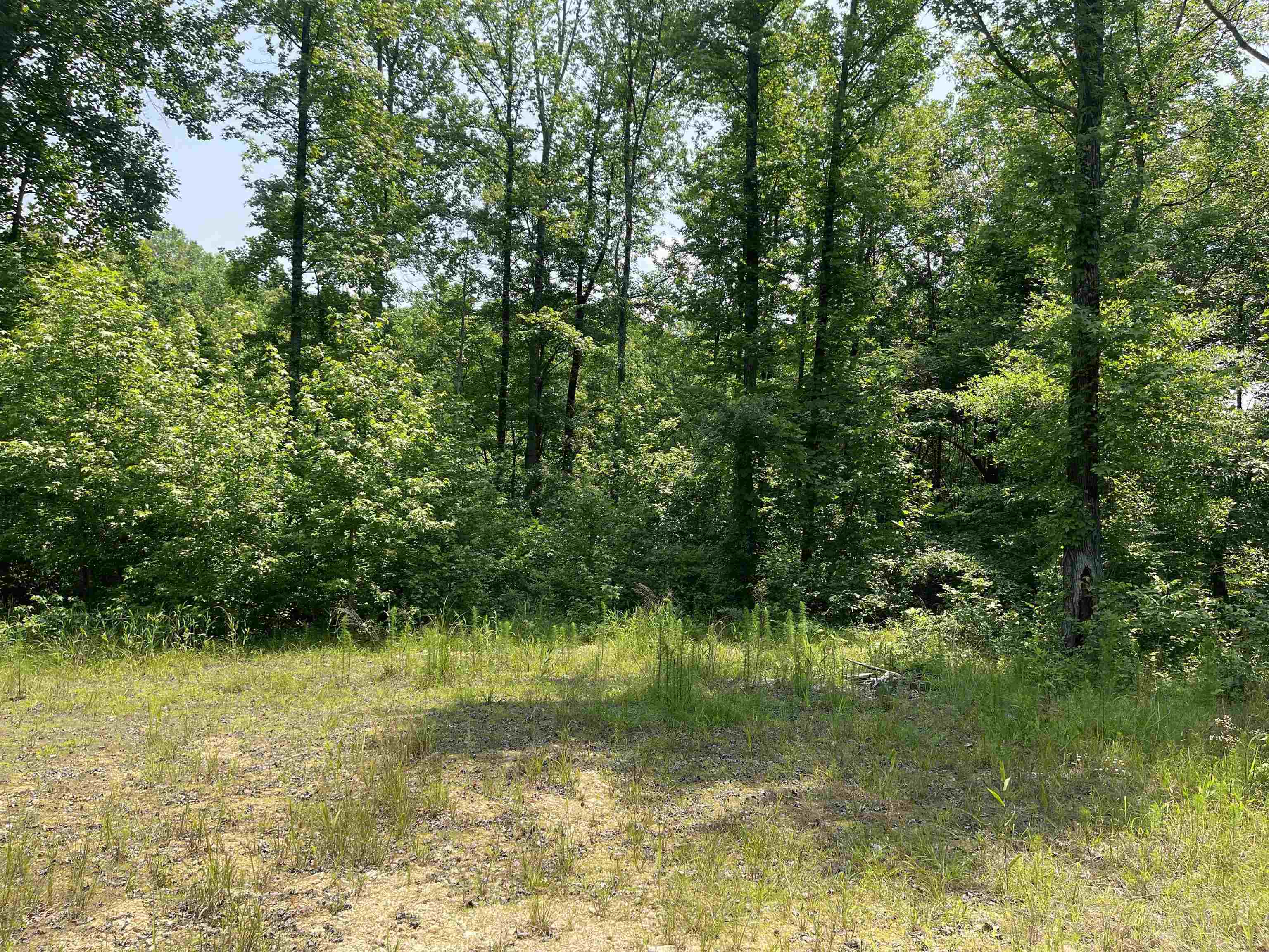 2460 421 Hwy Property Photo 10