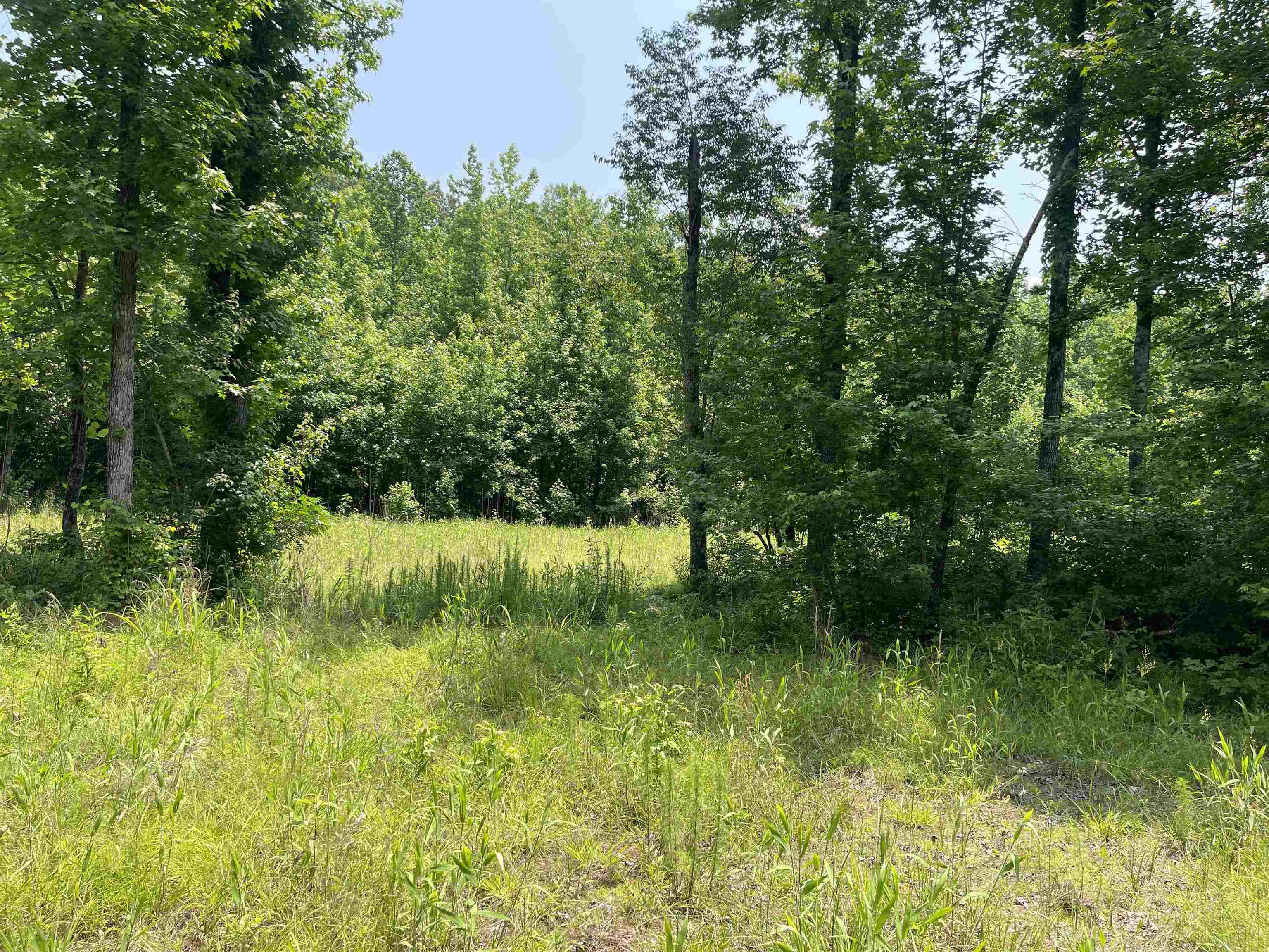 2460 421 Hwy Property Photo 12