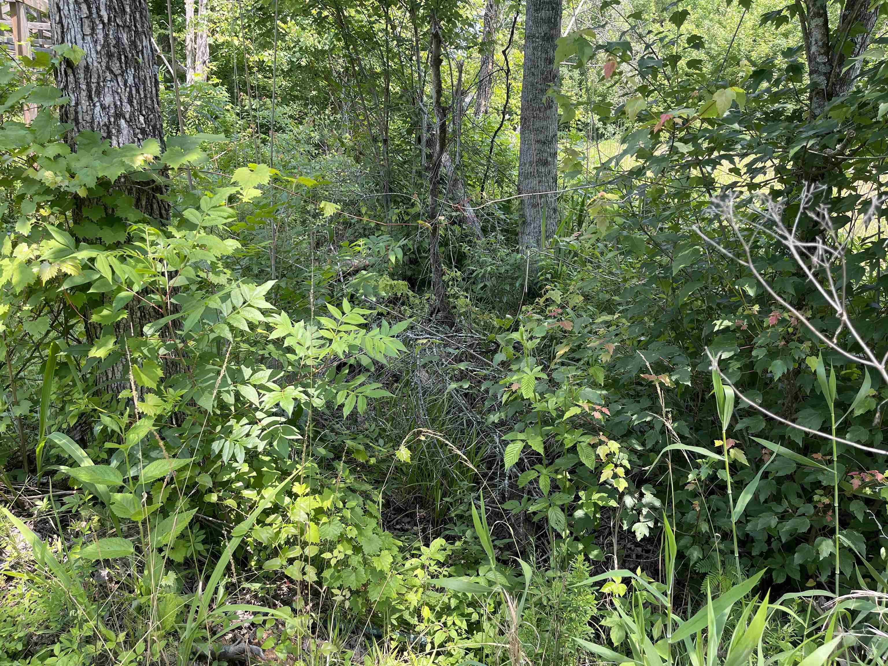 2460 421 Hwy Property Photo 13