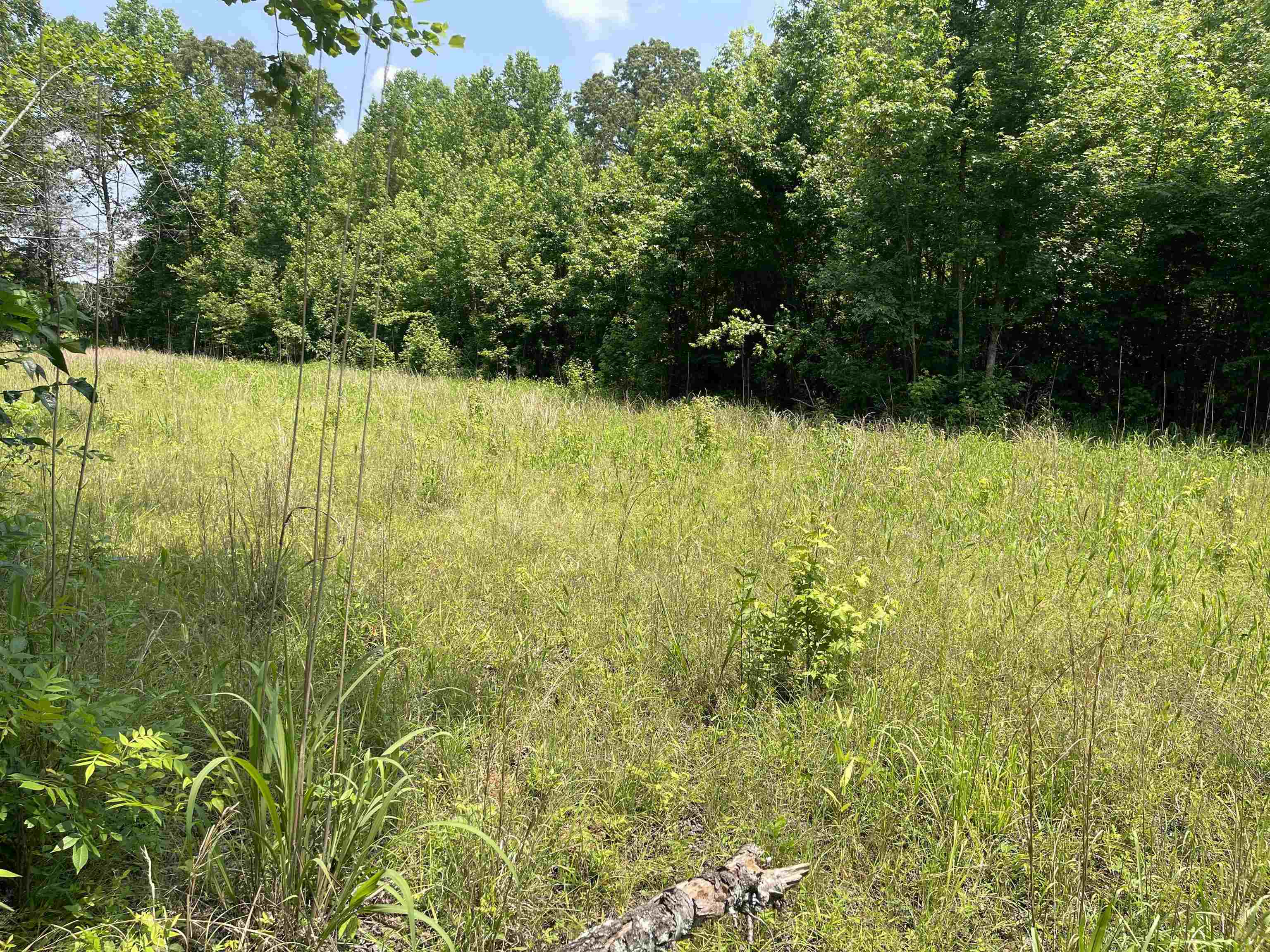 2460 421 Hwy Property Photo 14
