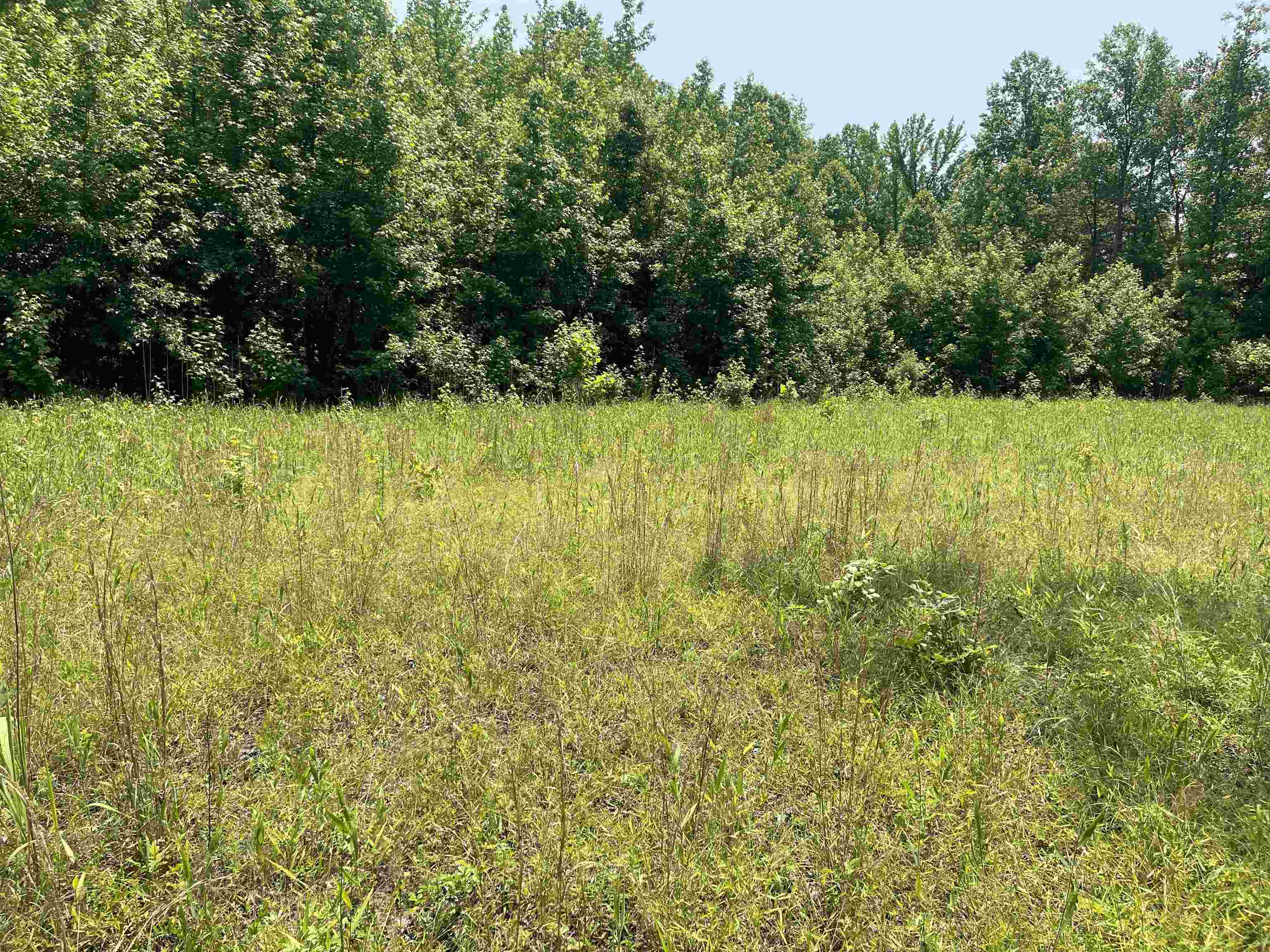 2460 421 Hwy Property Photo 15