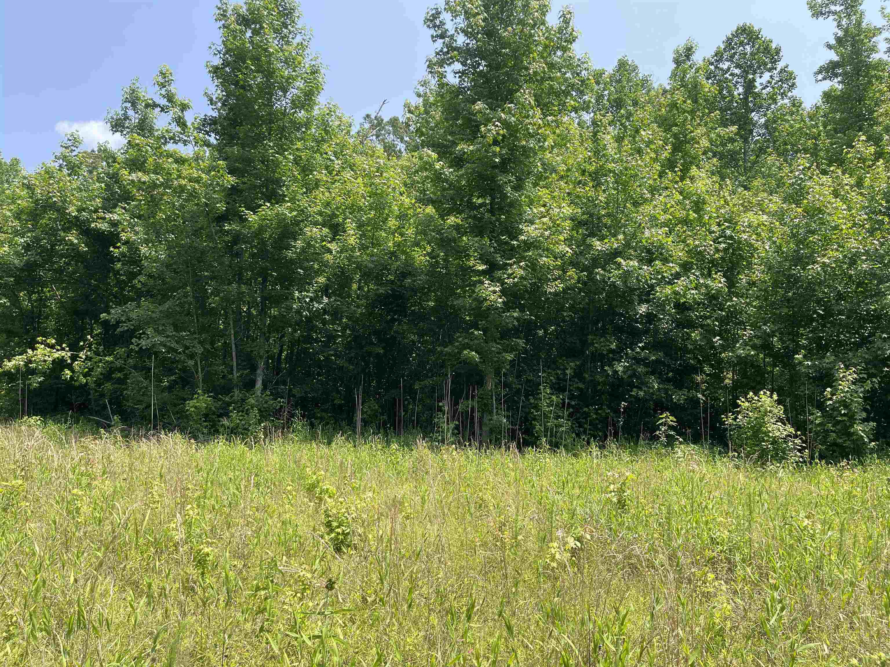 2460 421 Hwy Property Photo 16