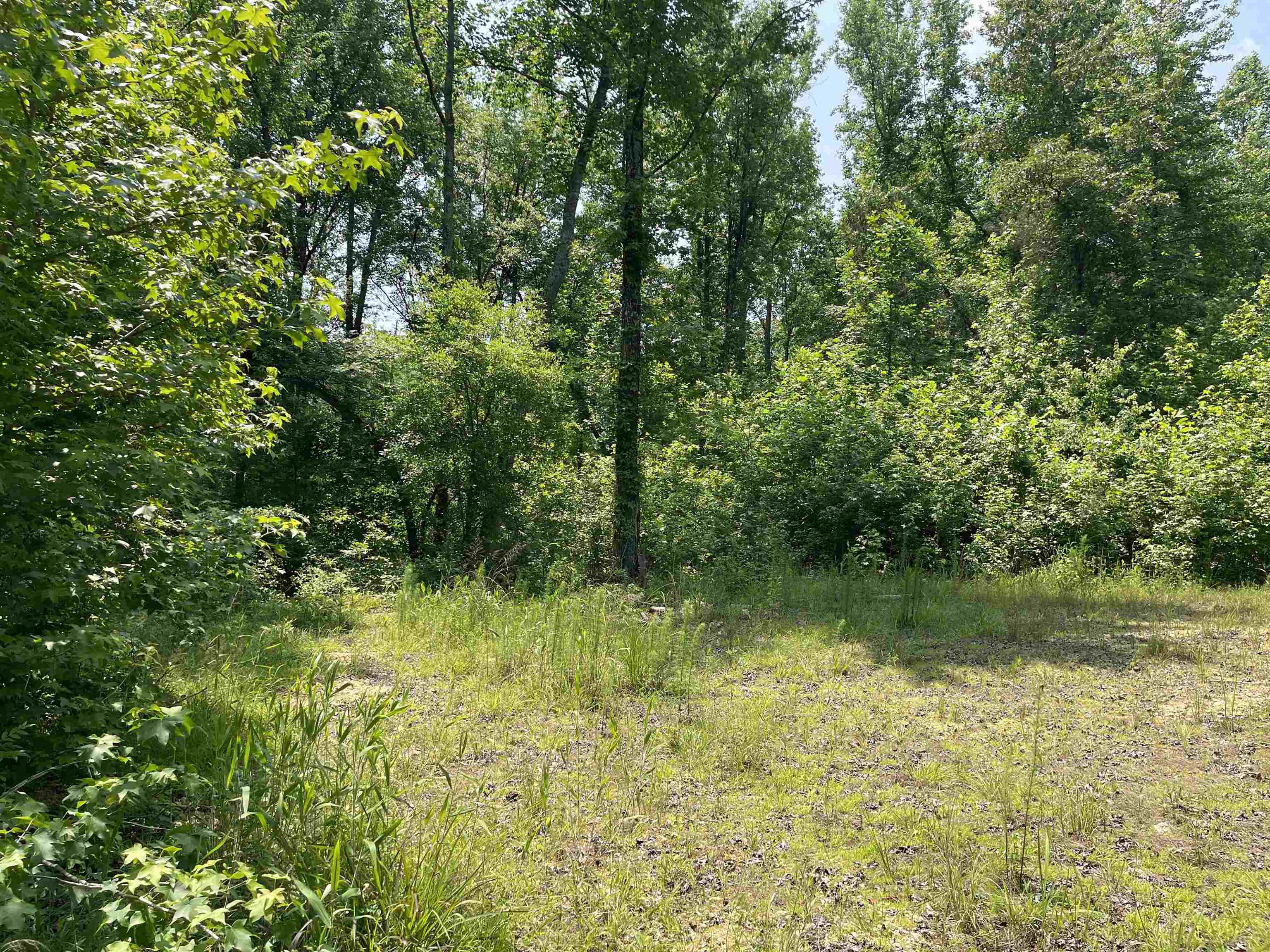 2460 421 Hwy Property Photo 18