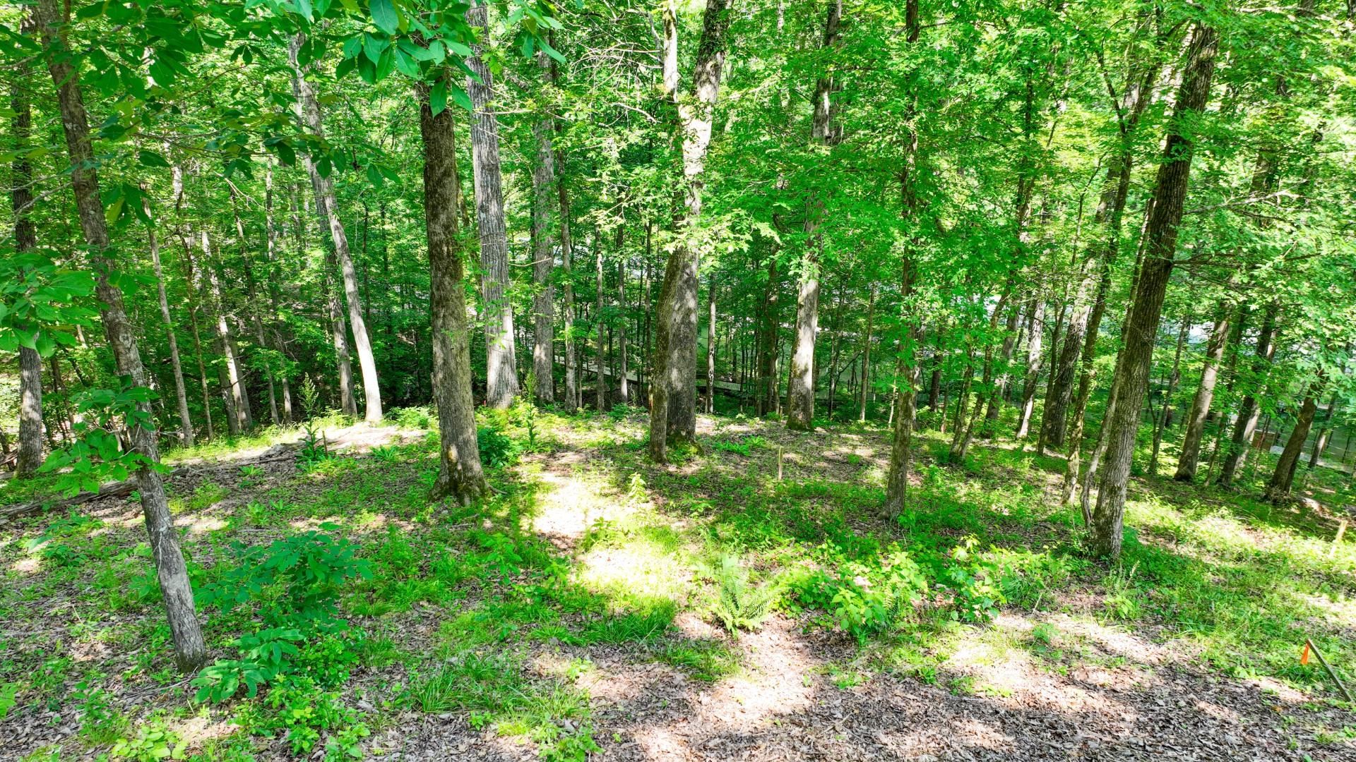 Lot 274 & 275 Secluded Loop Property Photo 13