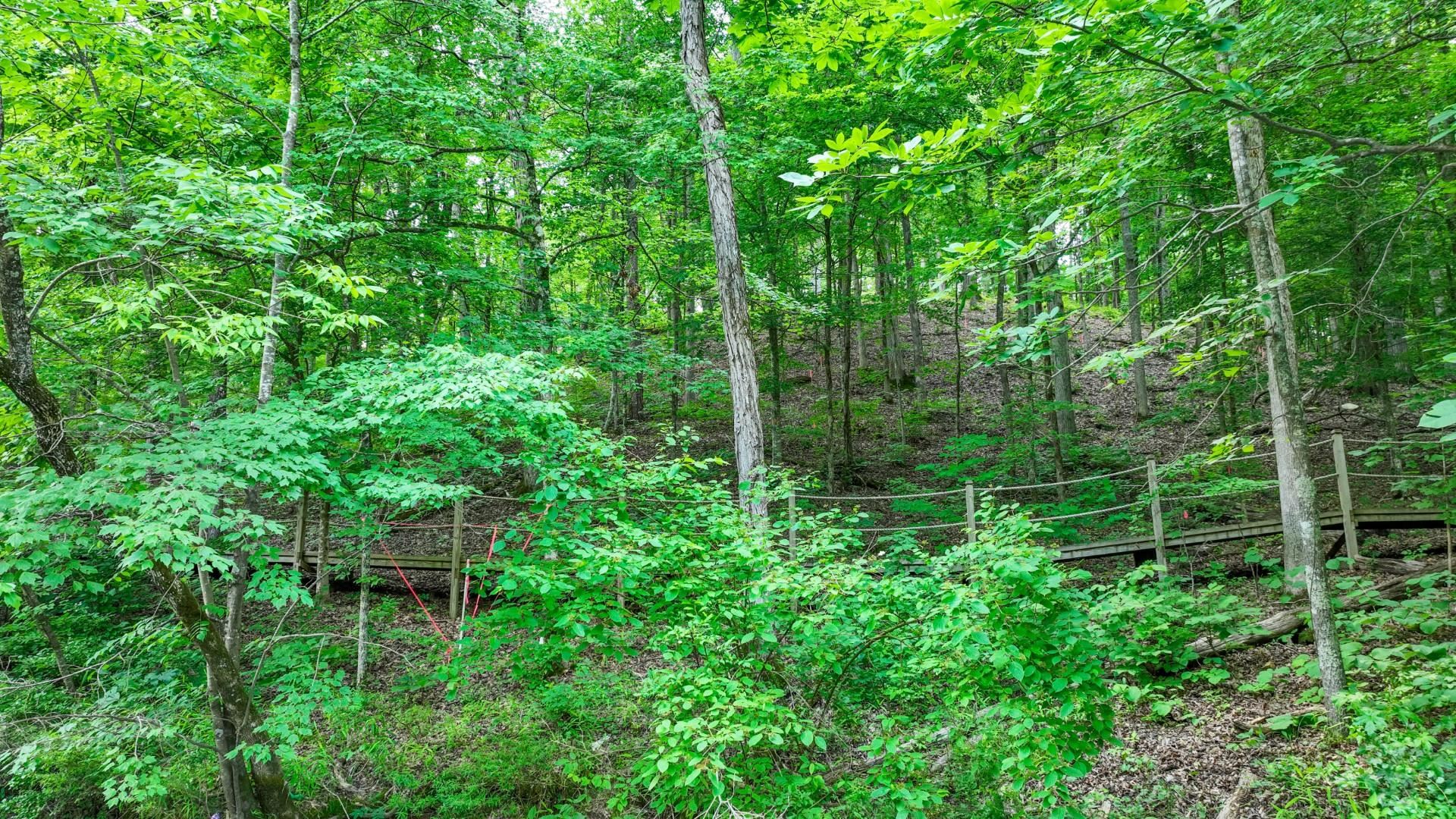 Lot 274 & 275 Secluded Loop Property Photo 15