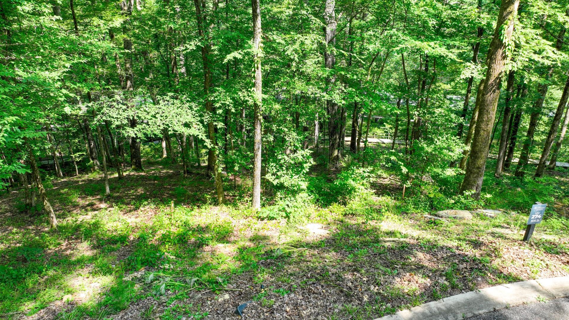 Lot 274 & 275 Secluded Loop Property Photo 16